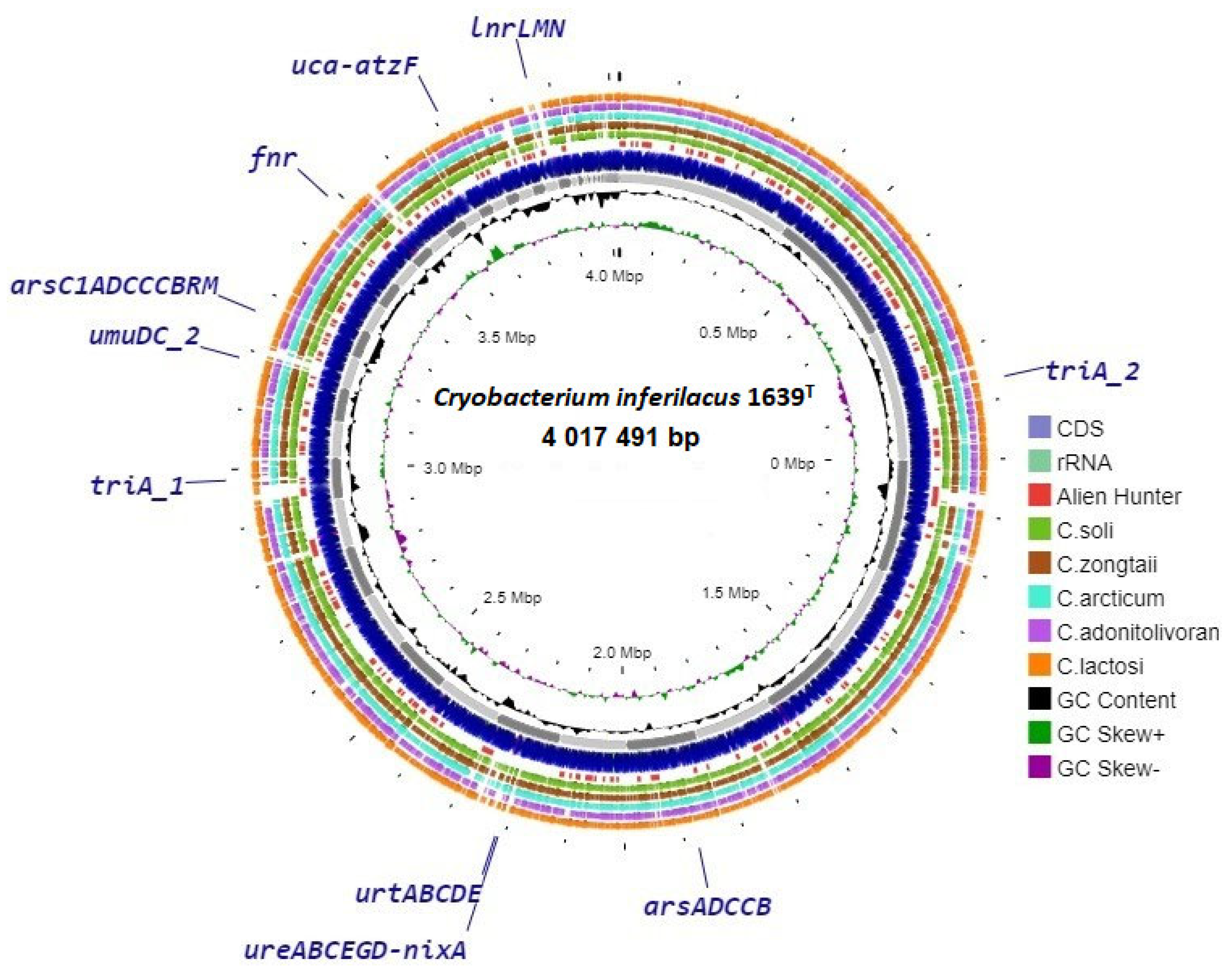 Microorganisms 13 00990 g004