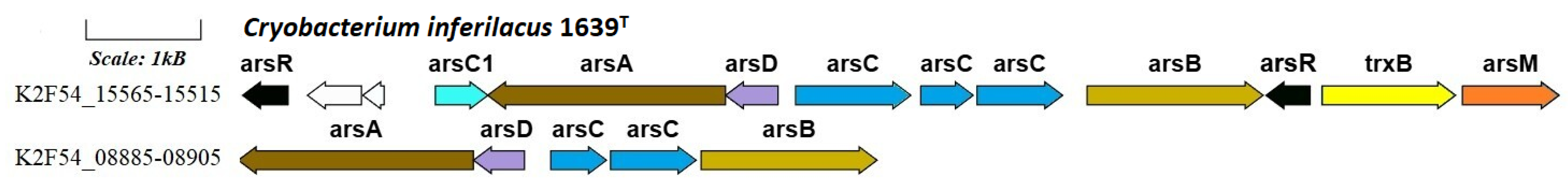Microorganisms 13 00990 g007