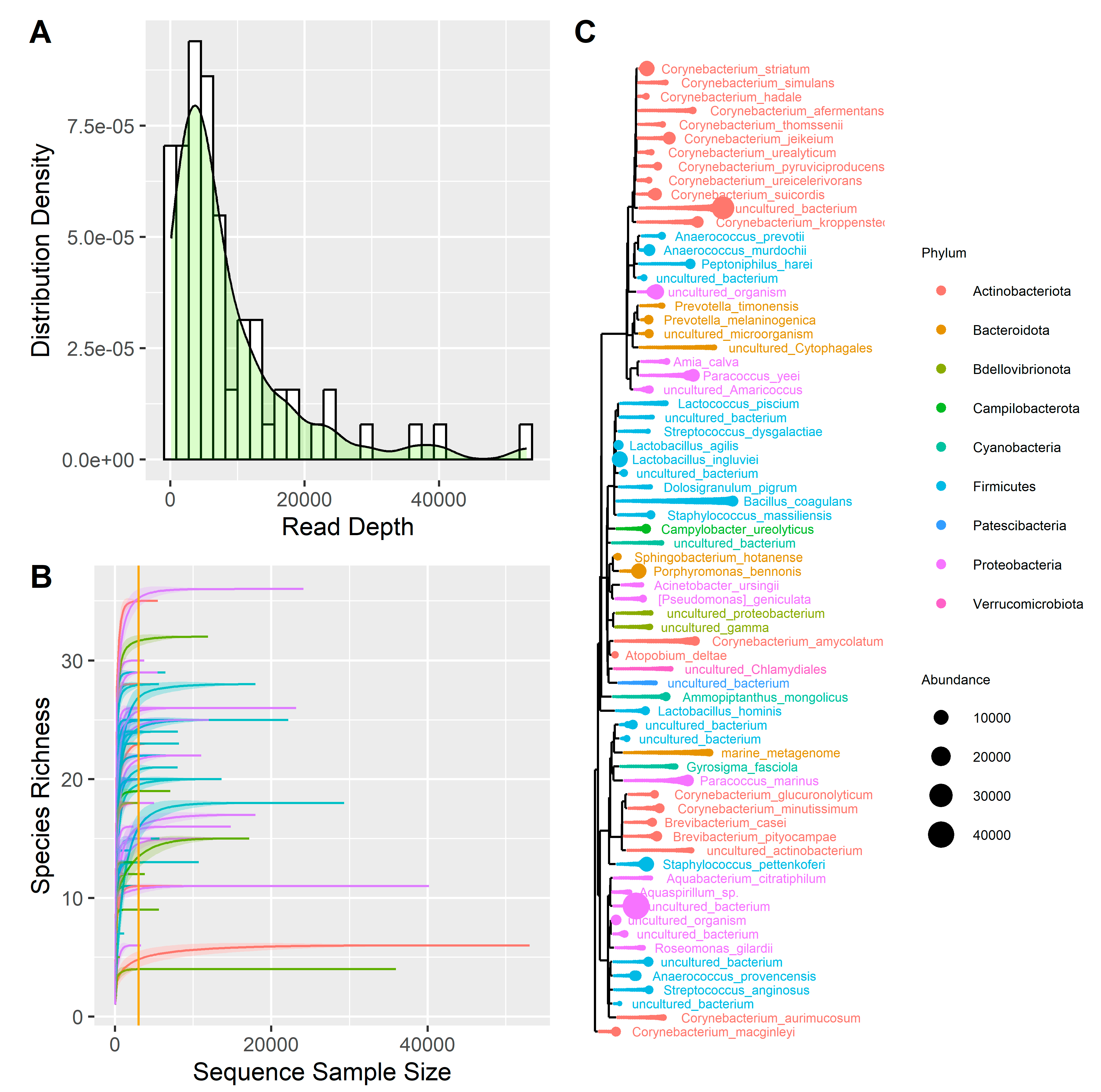 Microorganisms 13 00992 g001