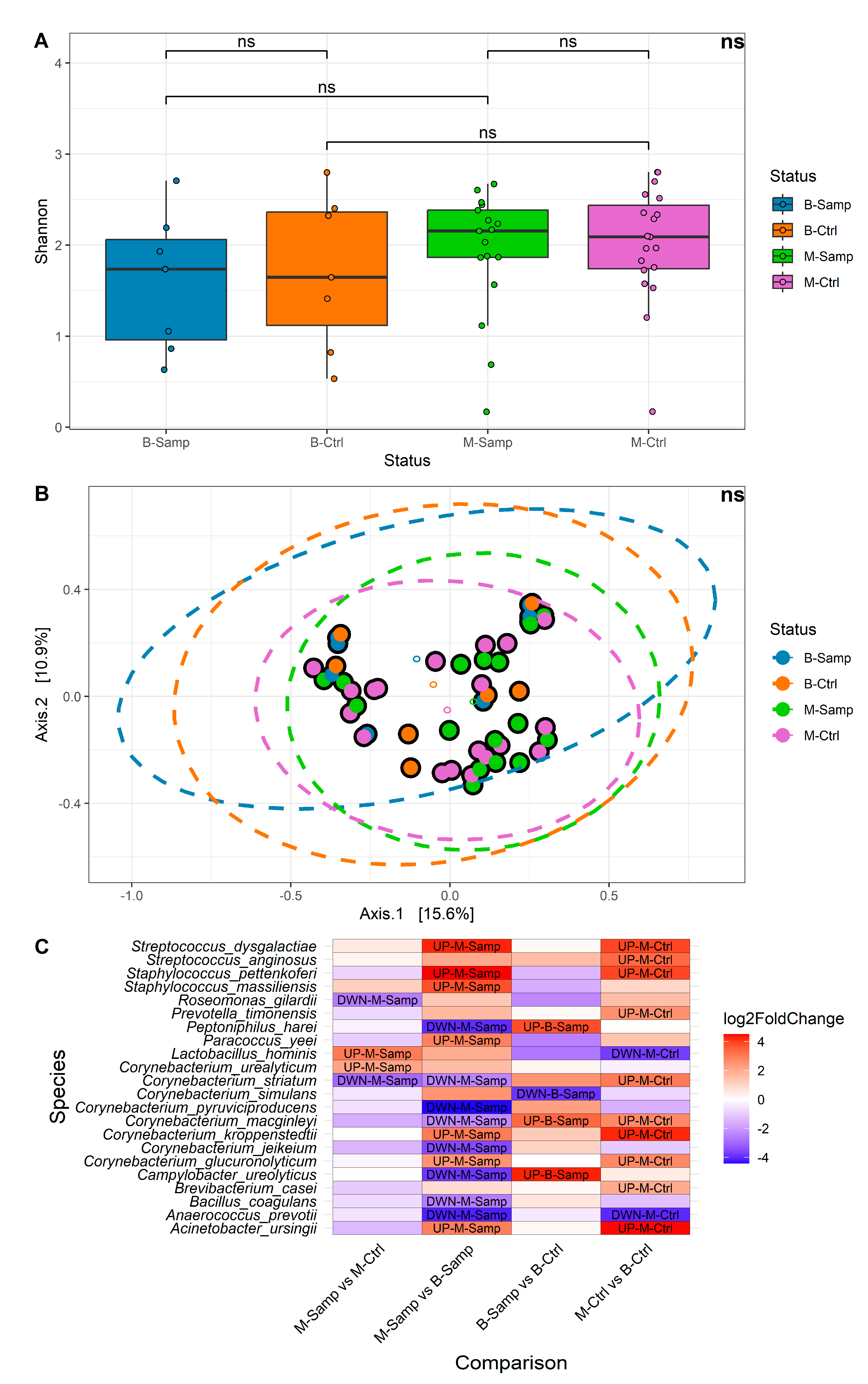 Microorganisms 13 00992 g002