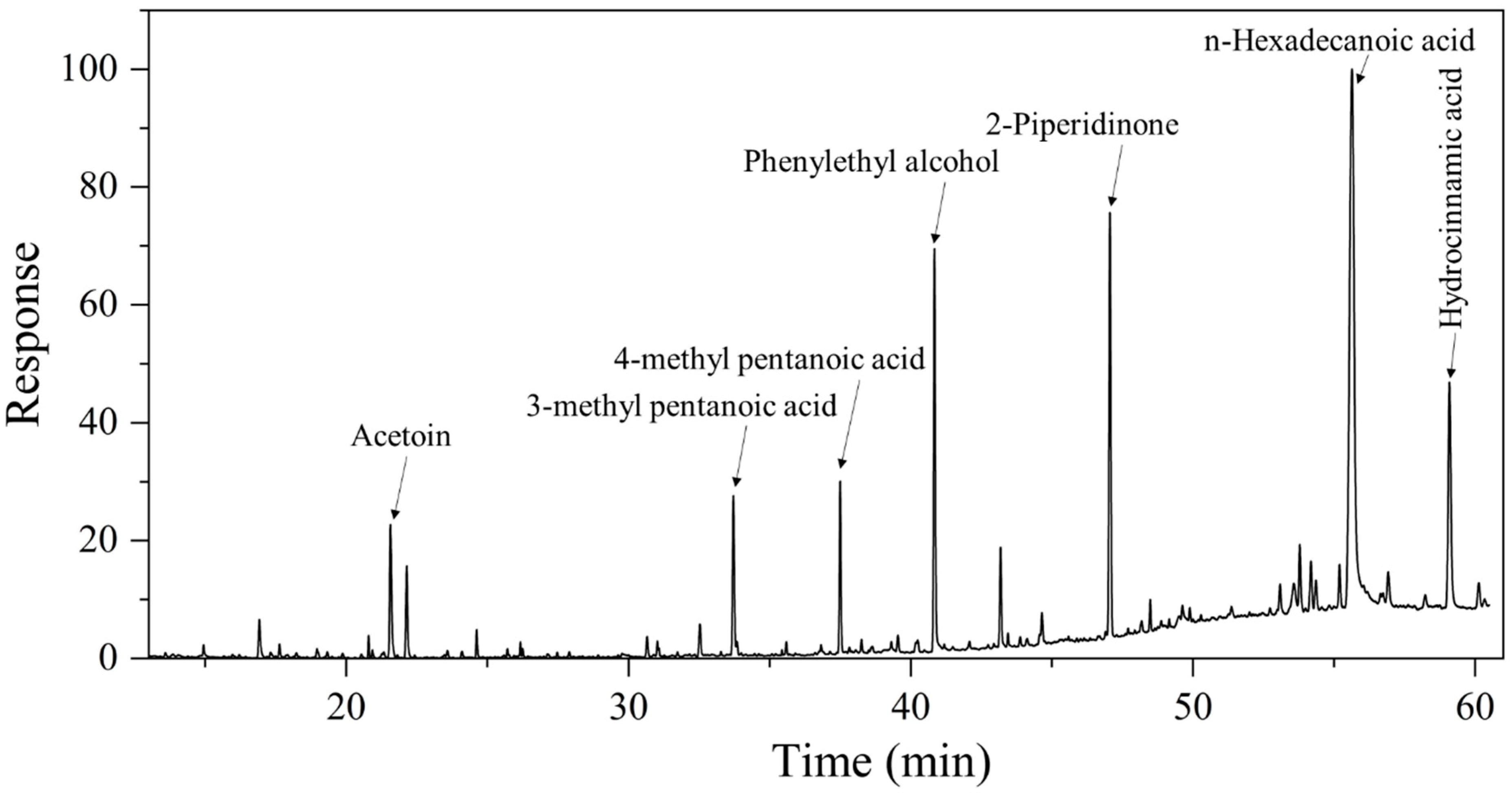 Microorganisms 13 00993 g006