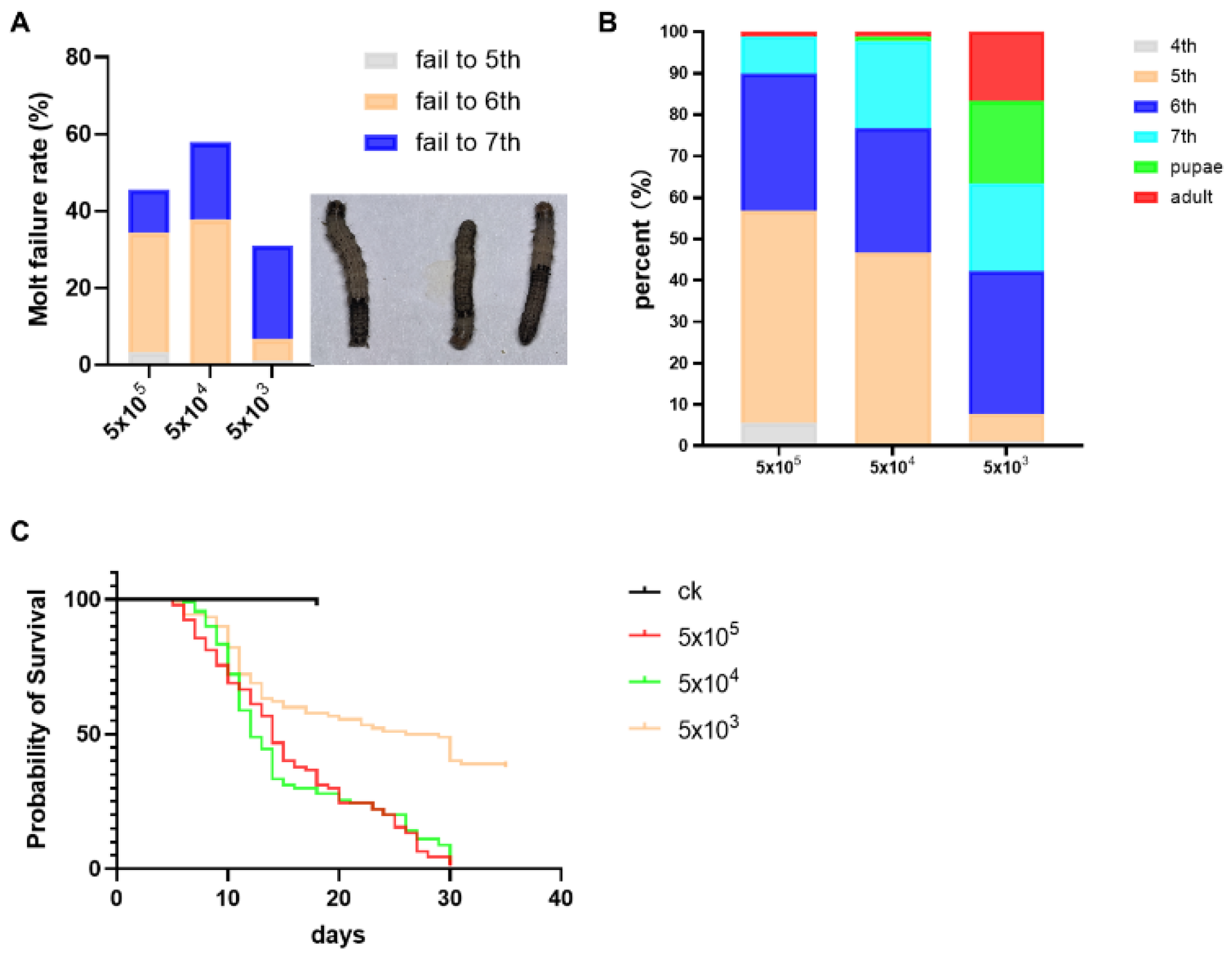 Microorganisms 13 00994 g001