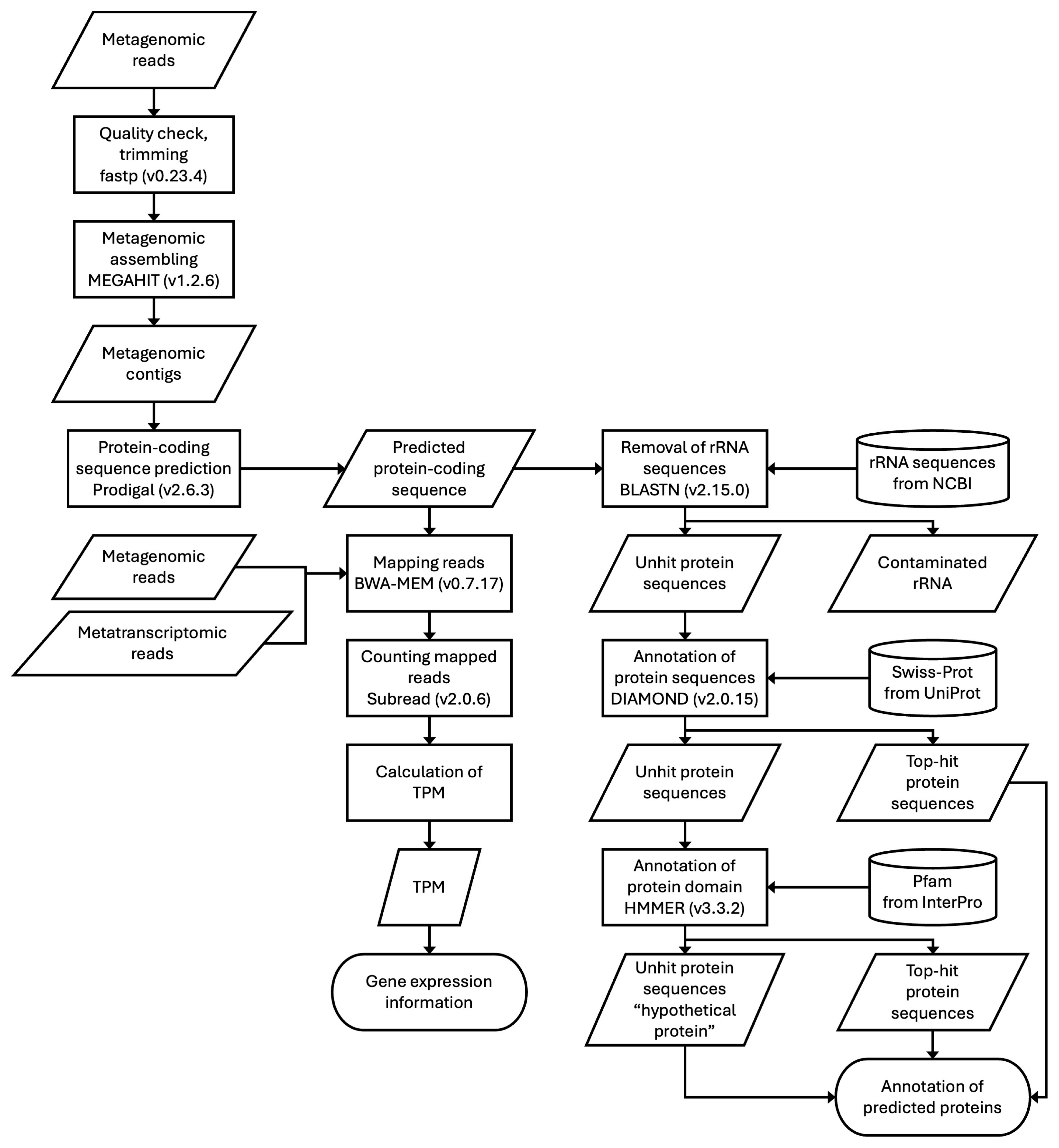 Microorganisms 13 00995 g001