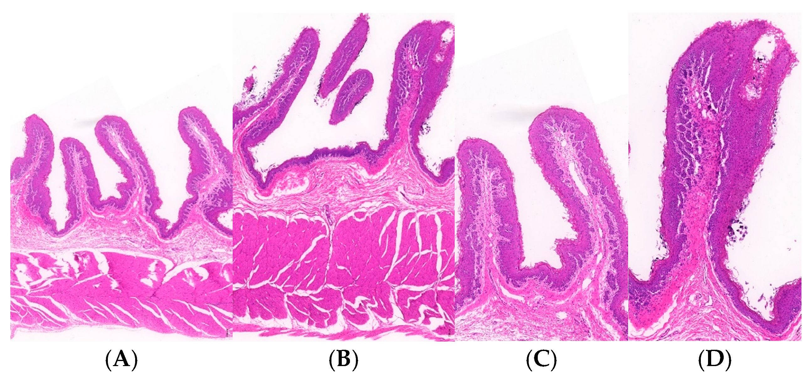 Microorganisms 13 00999 g002