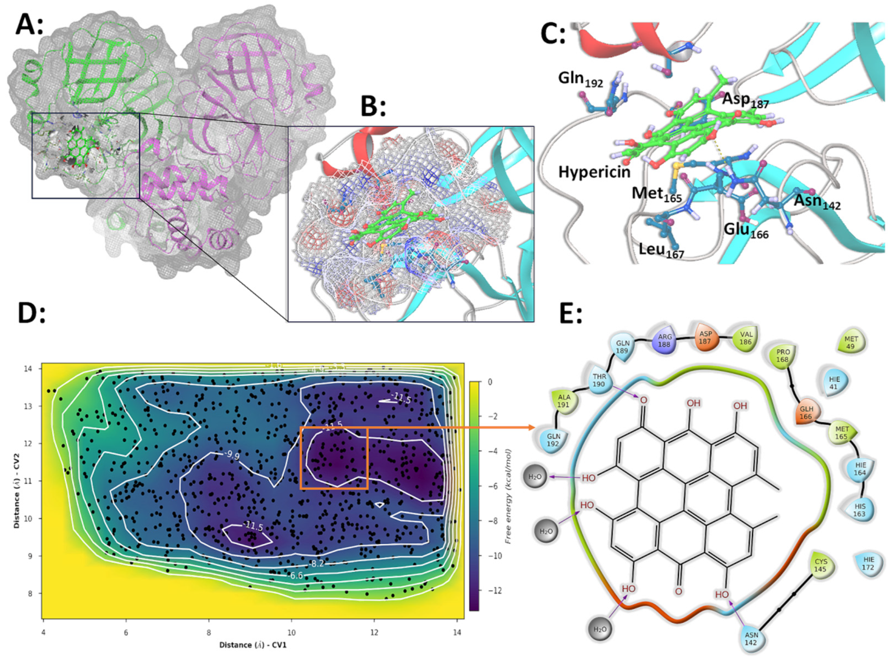 Microorganisms 13 01004 g006