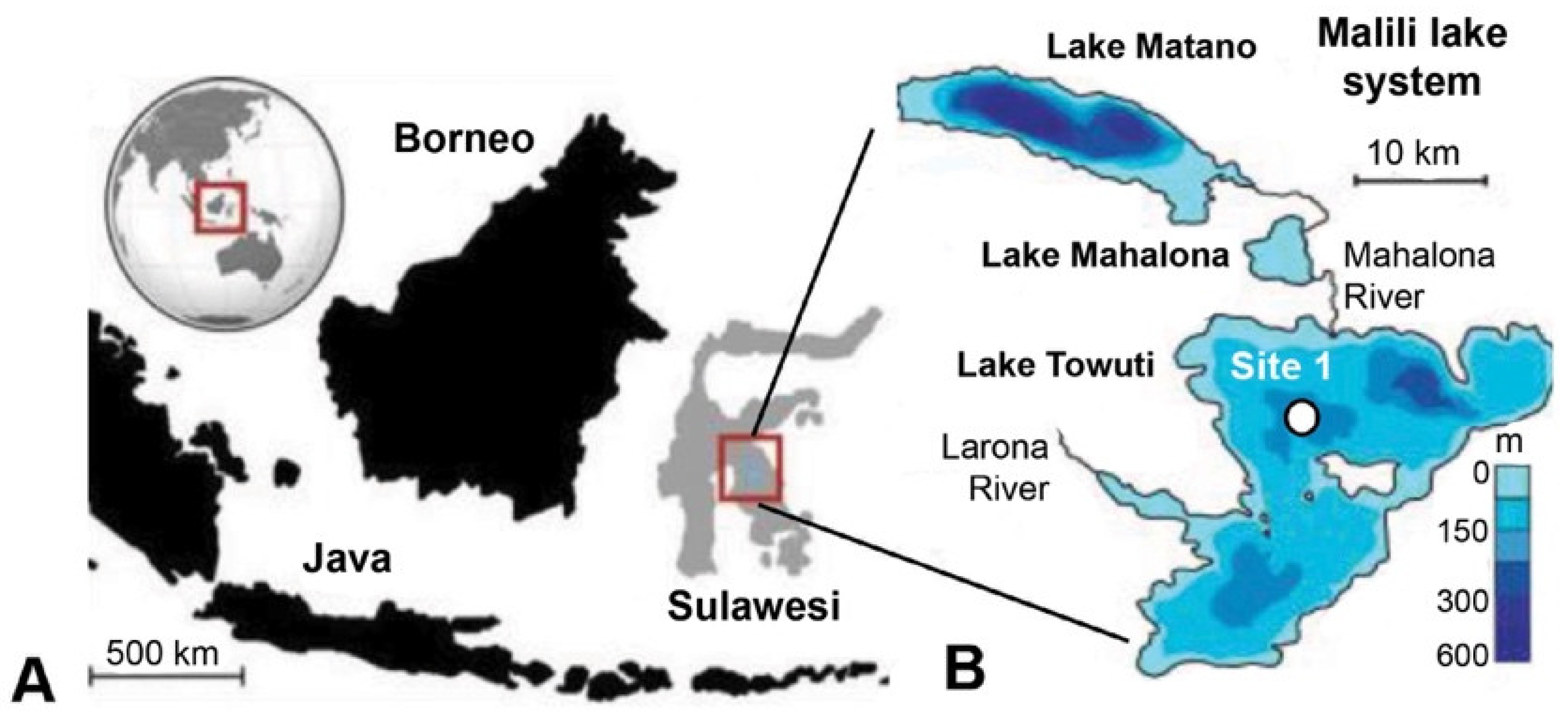 Microorganisms 13 01005 g001