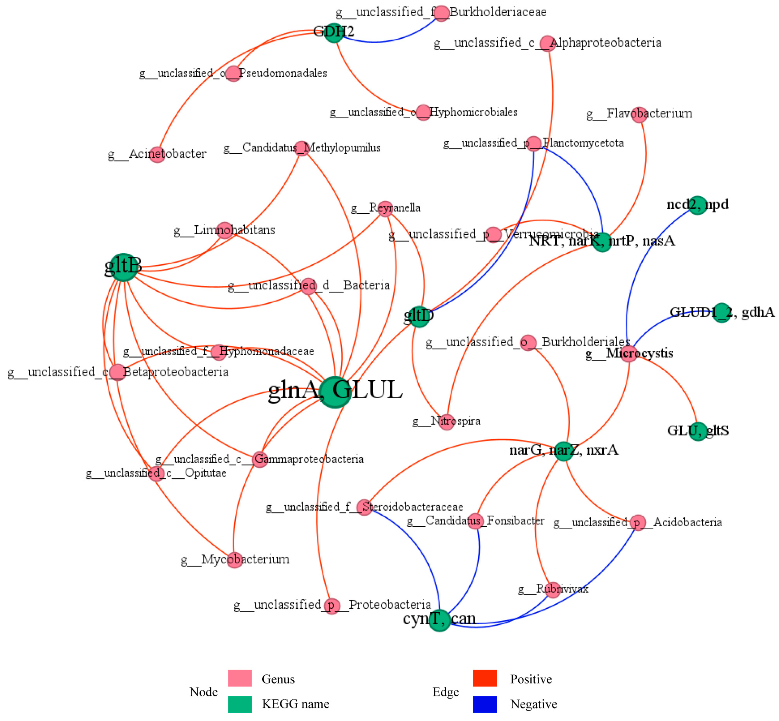 Microorganisms 13 01007 g008