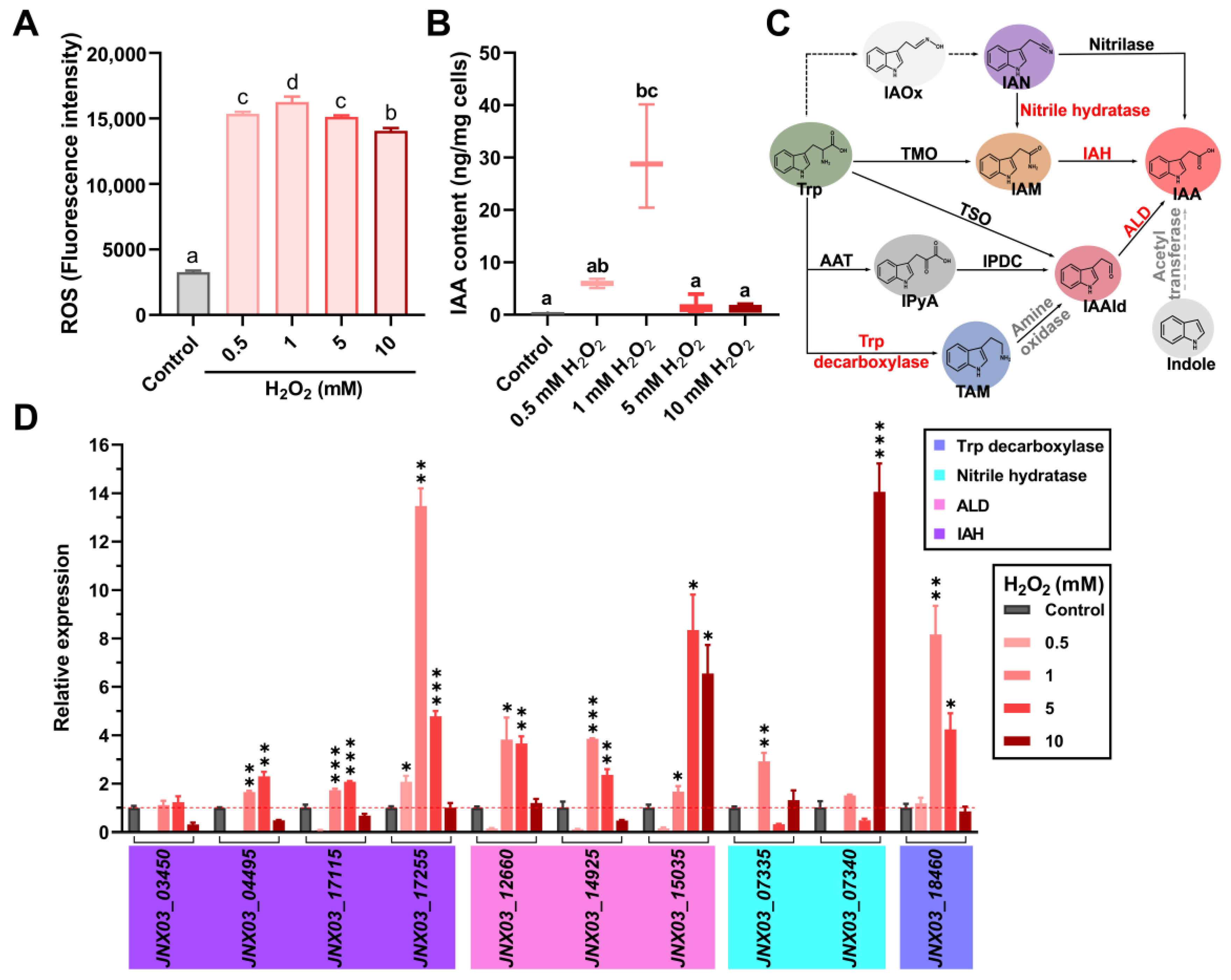 Microorganisms 13 01014 g001