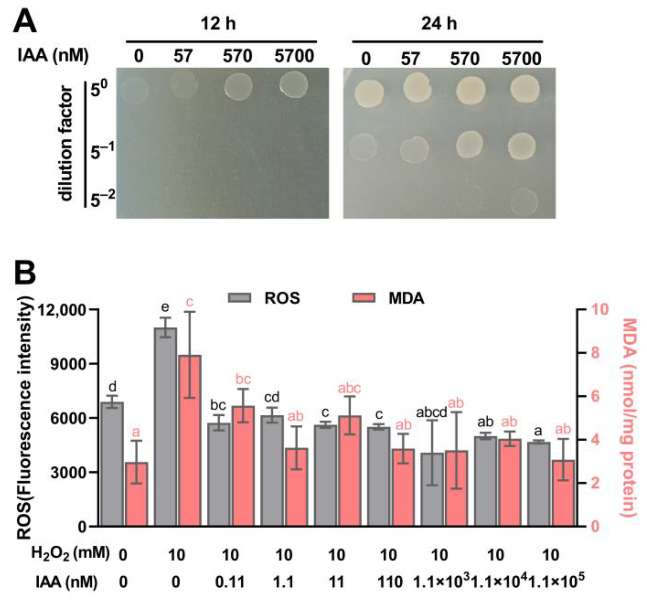 Microorganisms 13 01014 g002