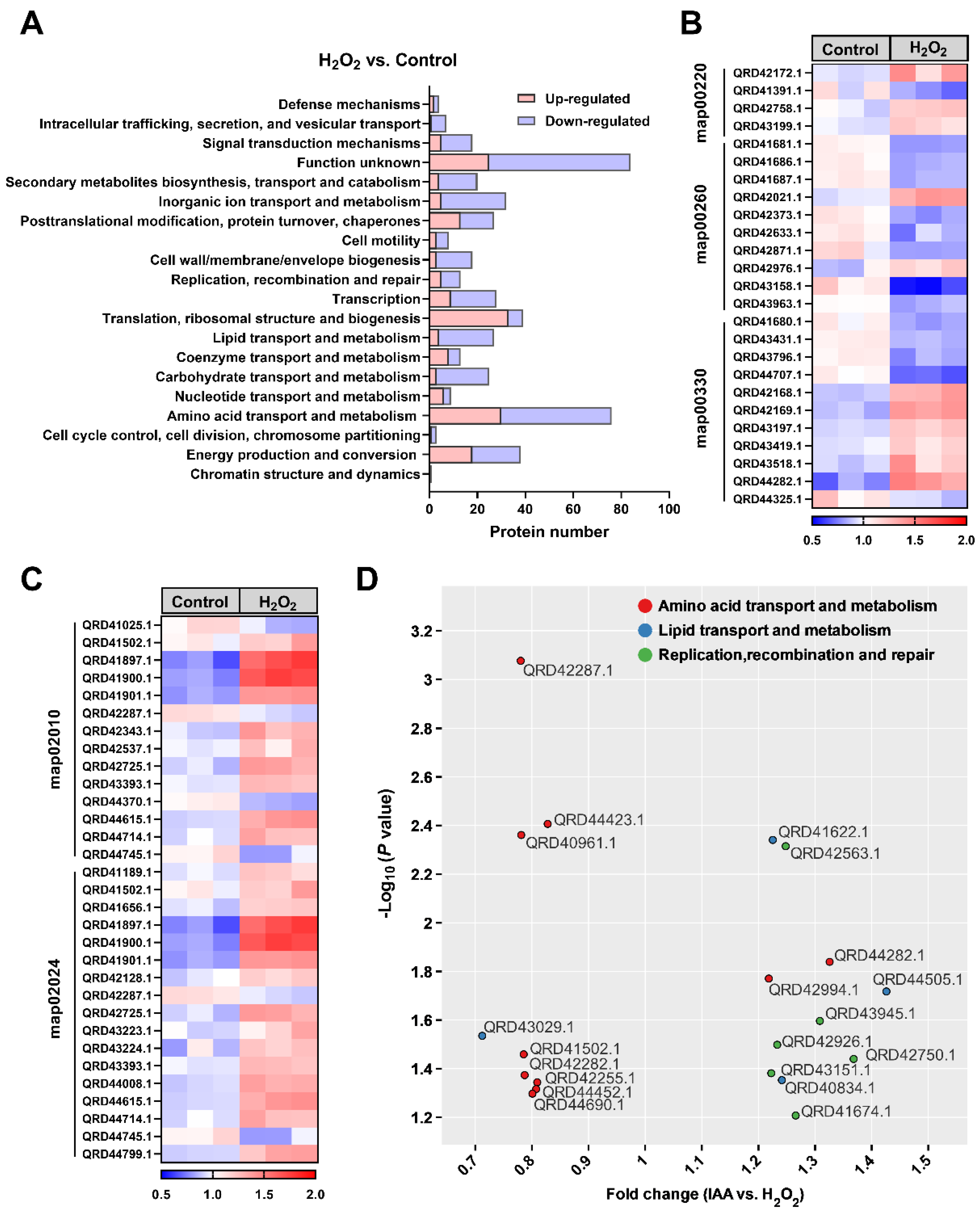 Microorganisms 13 01014 g003