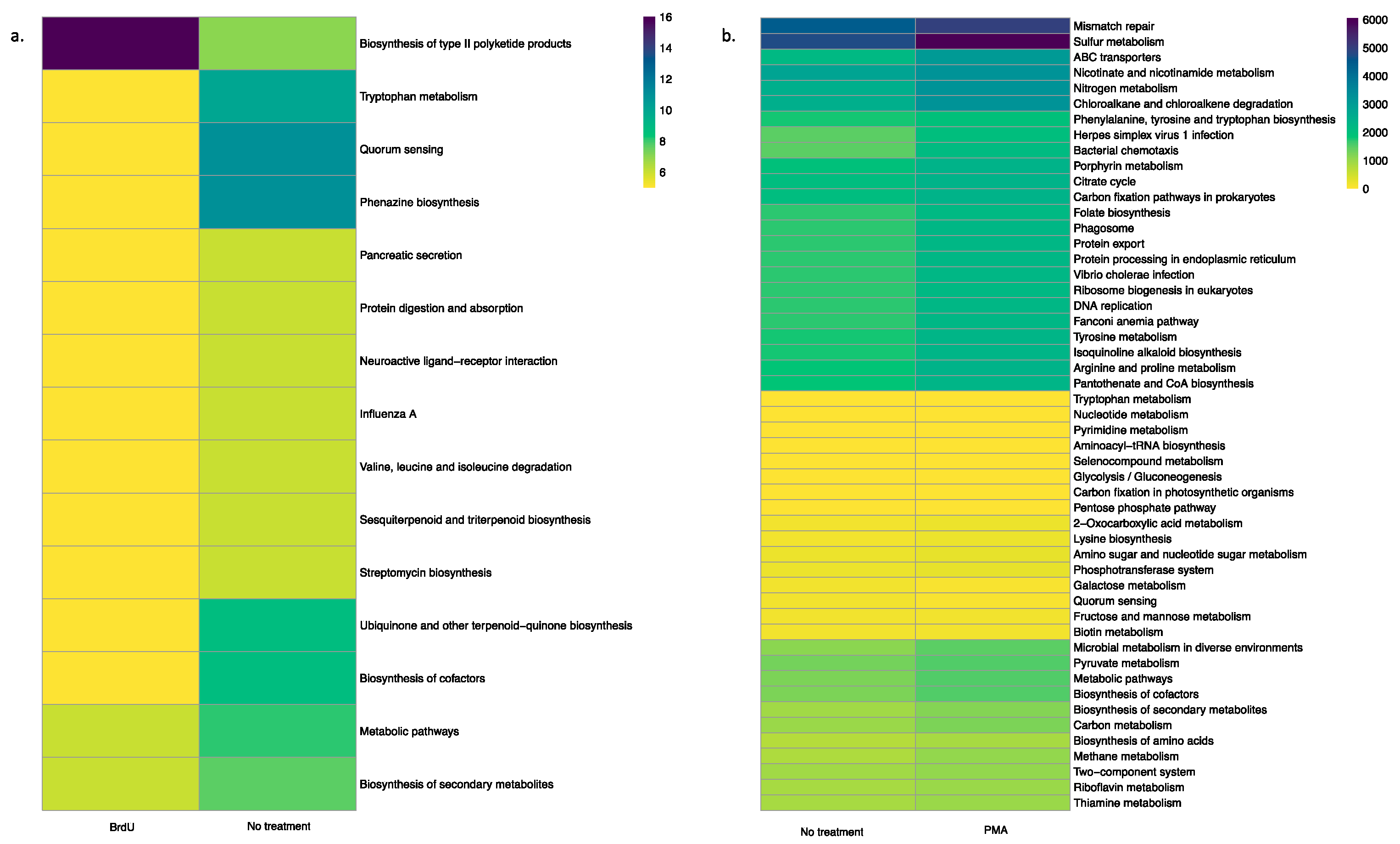 Microorganisms 13 01015 g004