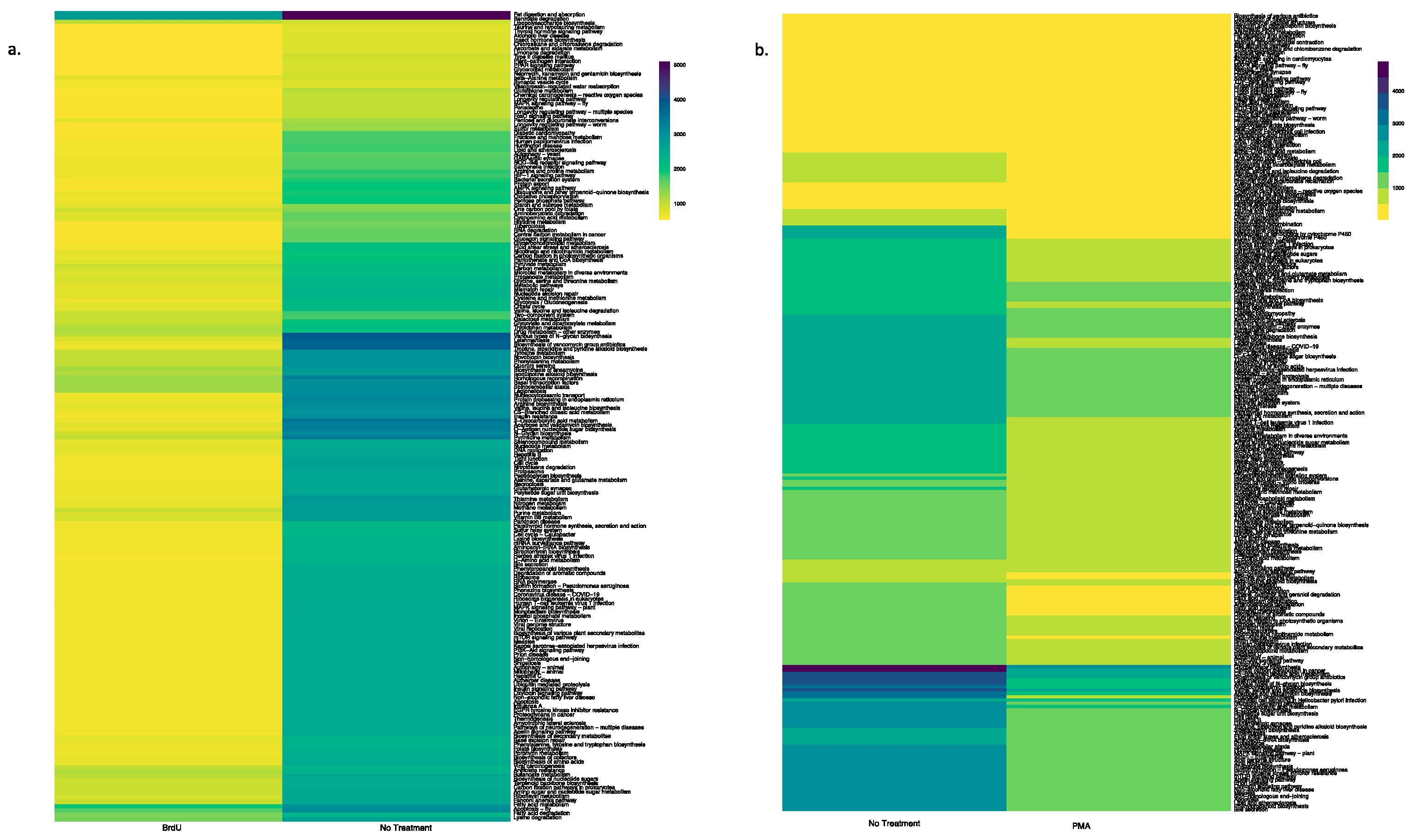 Microorganisms 13 01015 g005