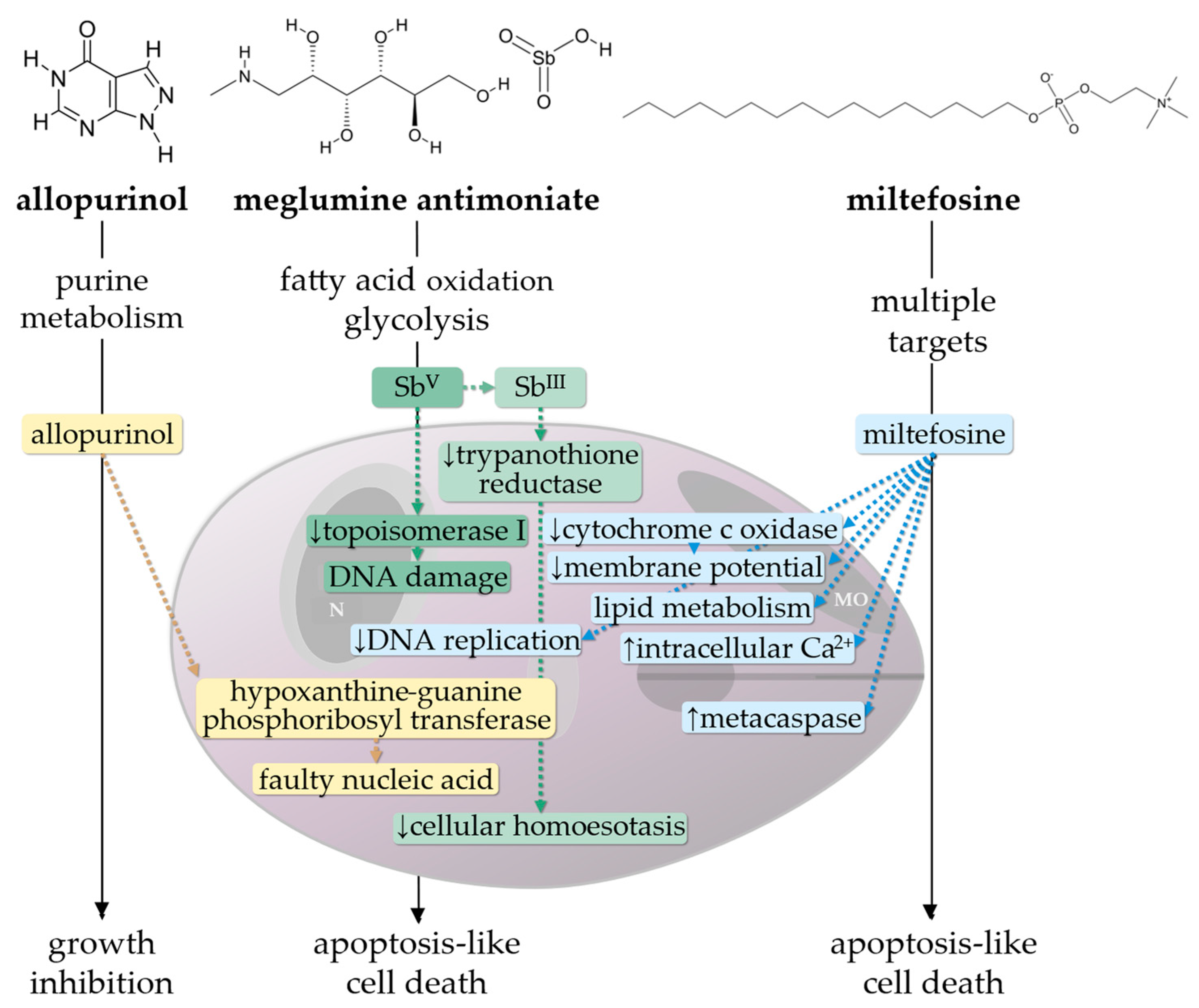 Microorganisms 13 01018 g001