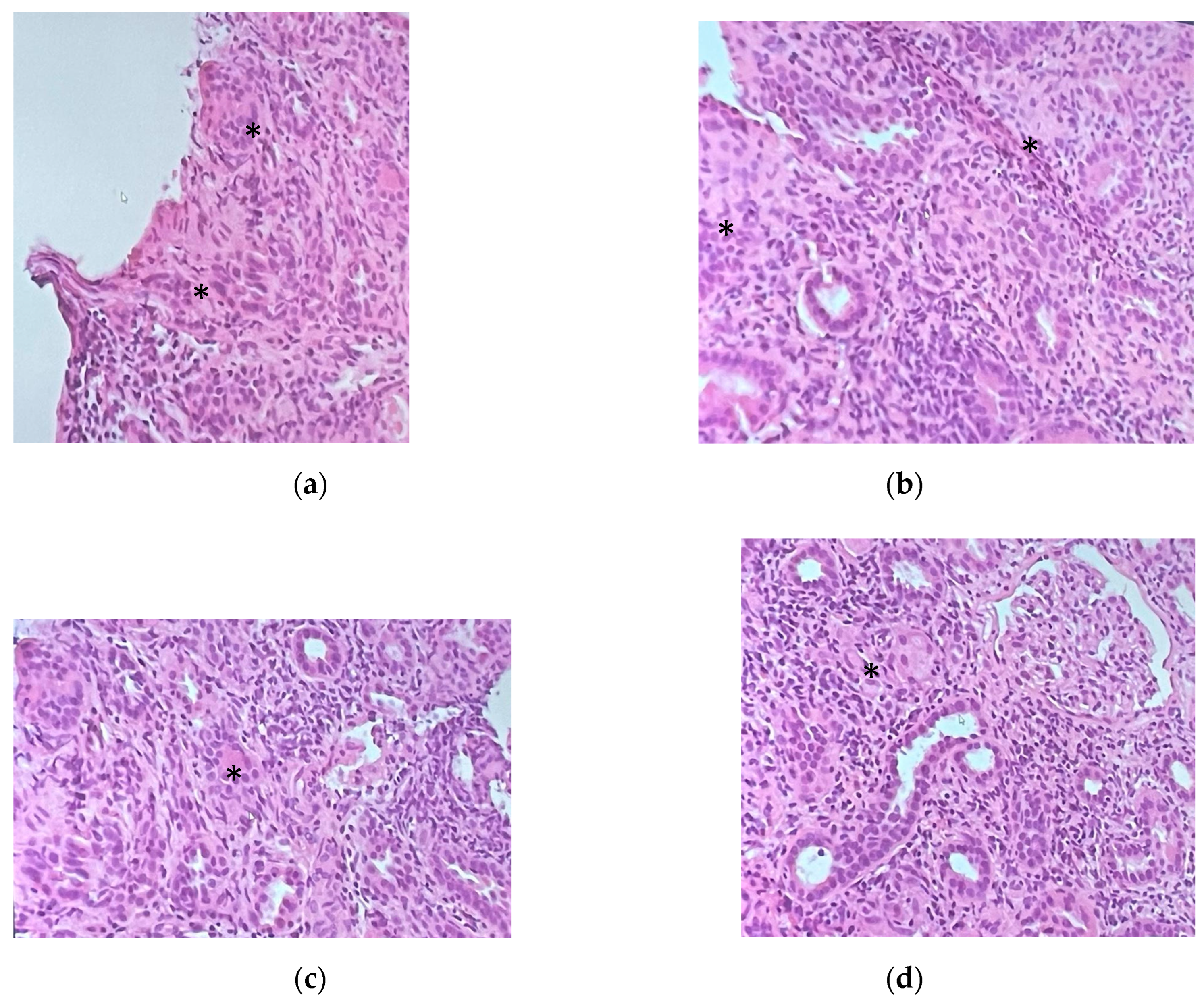 Microorganisms 13 01019 g002