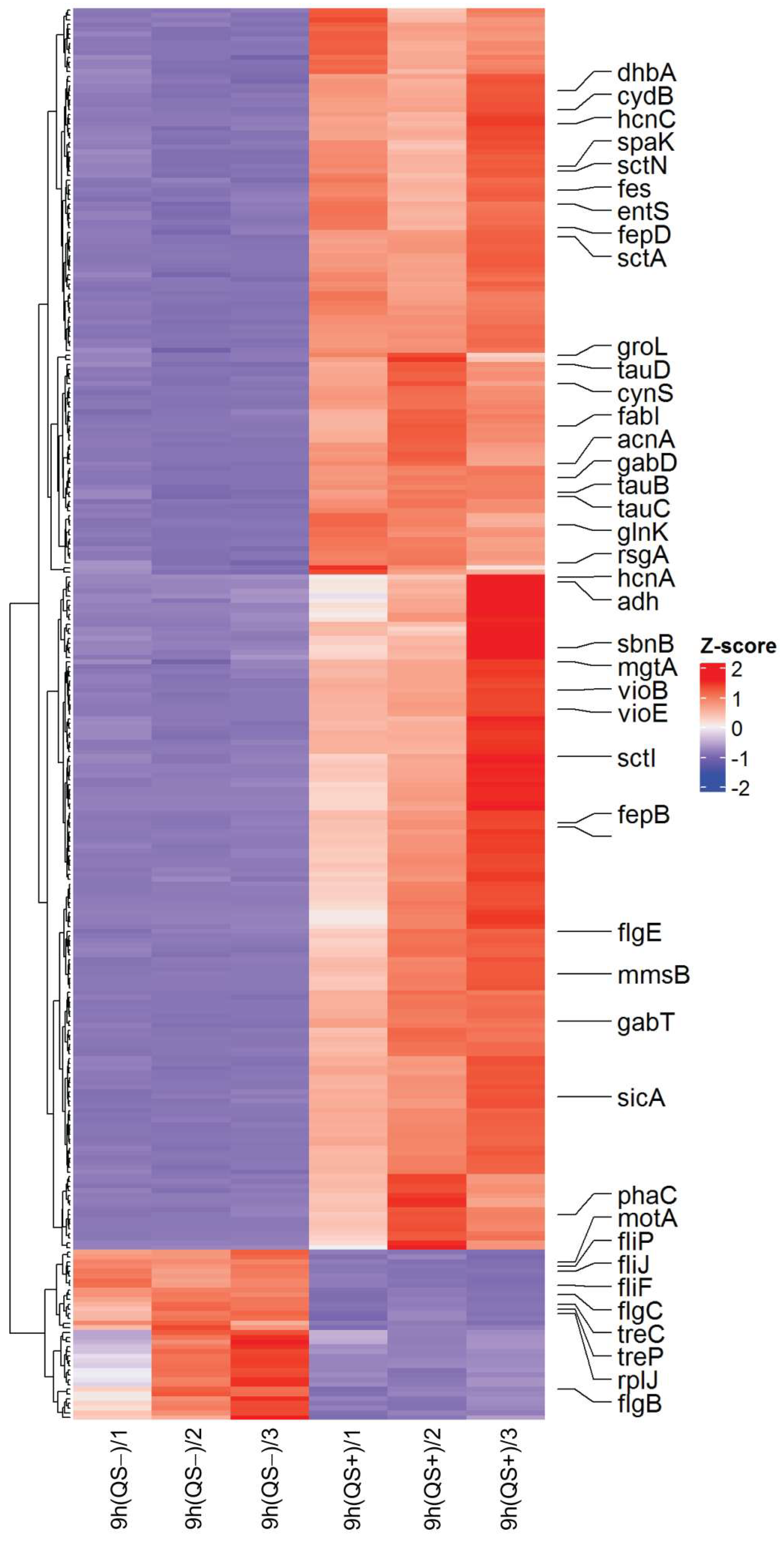 Microorganisms 13 01021 g002
