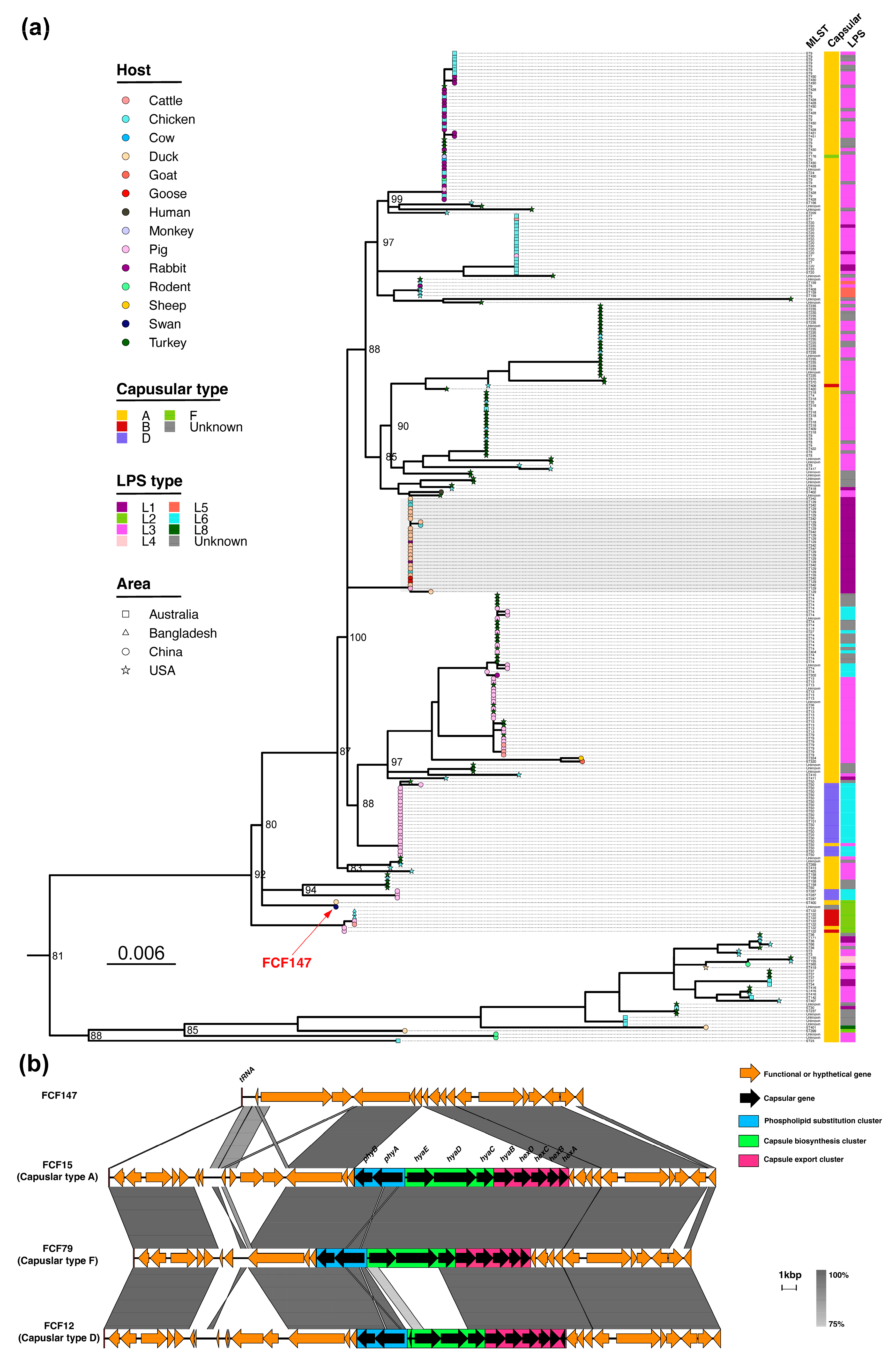 Microorganisms 13 01024 g001