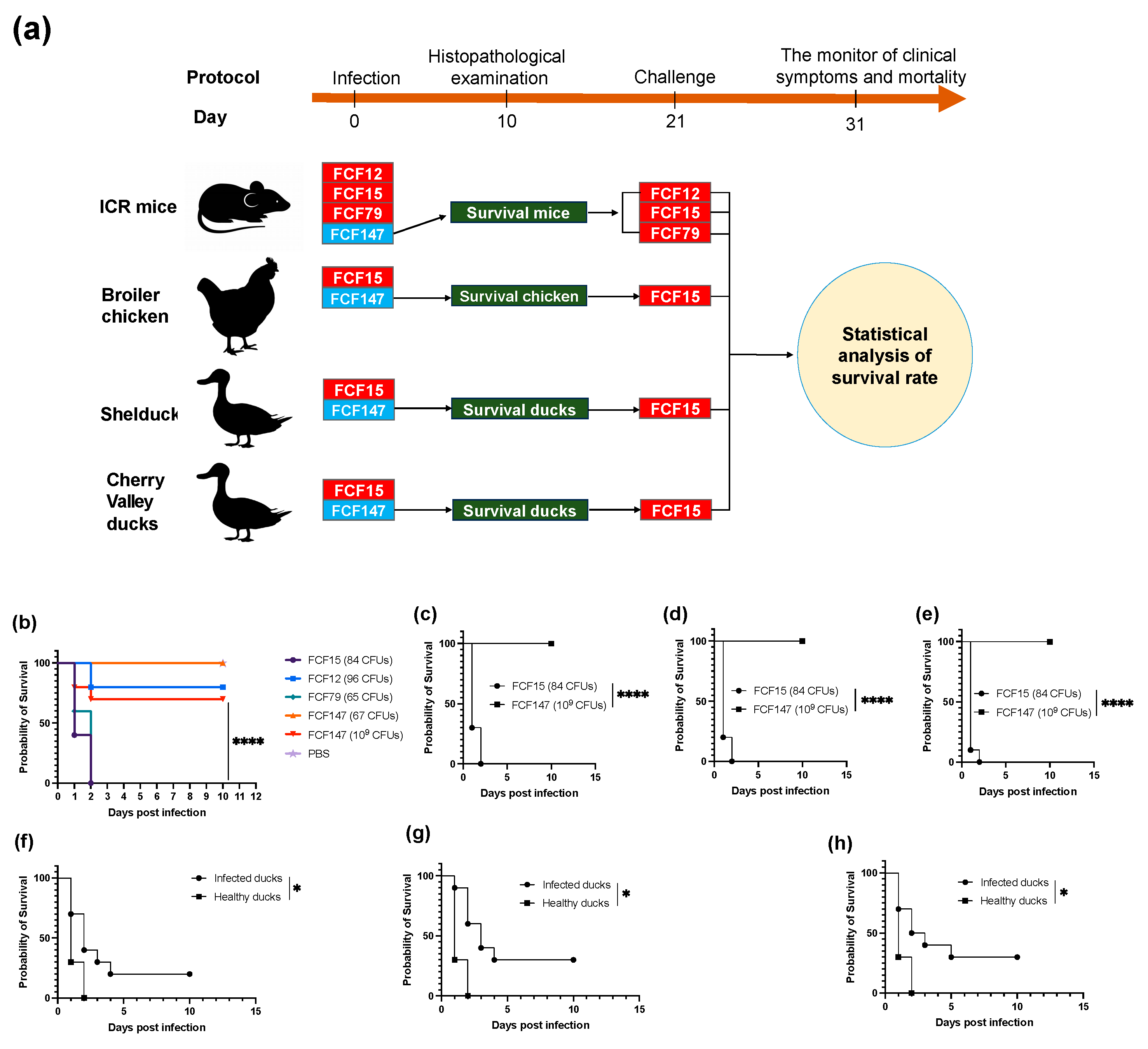 Microorganisms 13 01024 g004