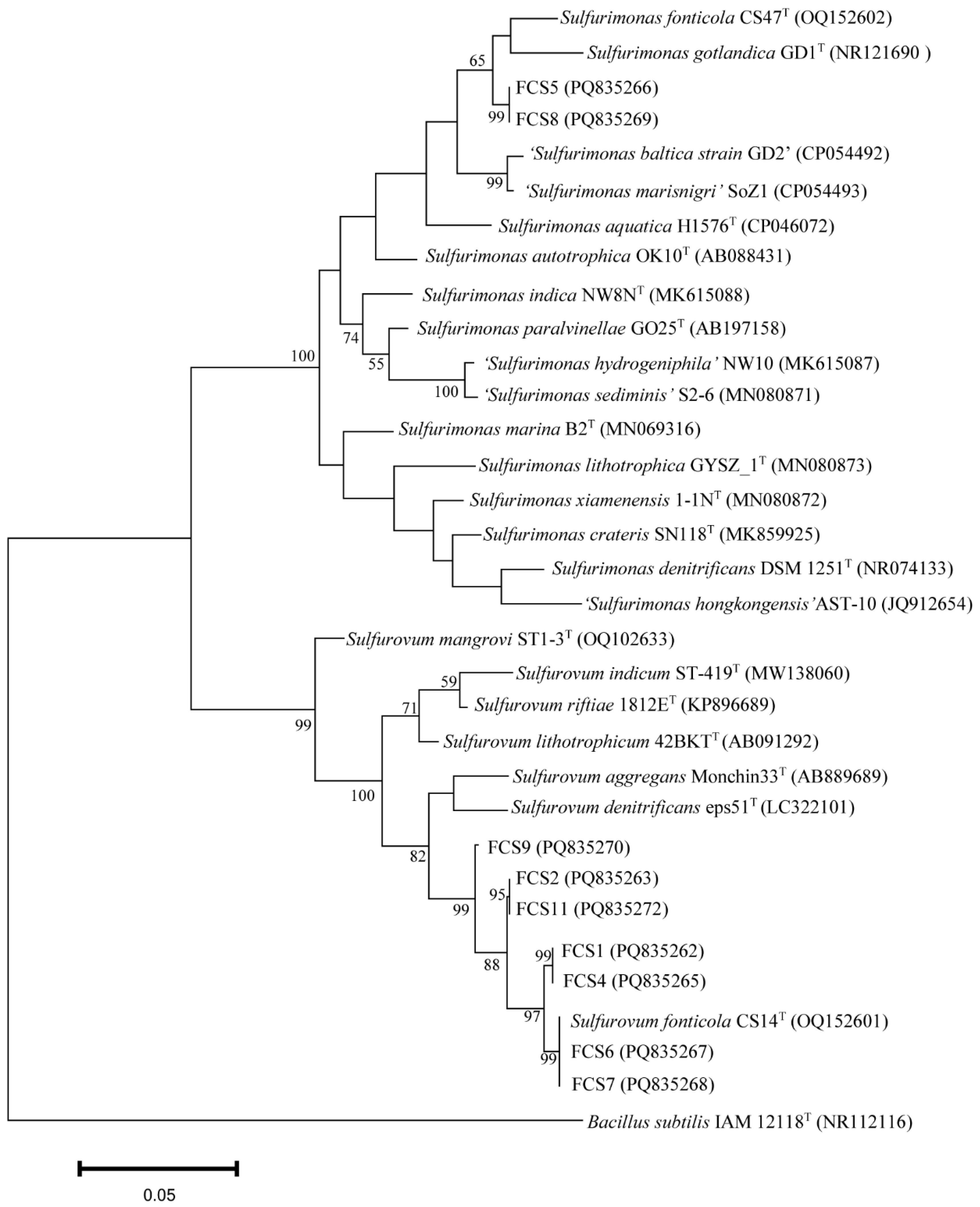 Microorganisms 13 01028 g003