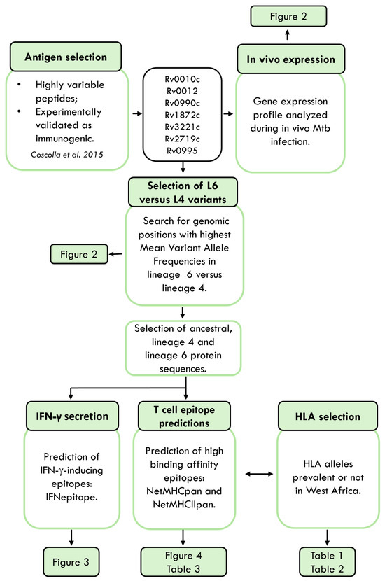 Microorganisms 13 01032 g001