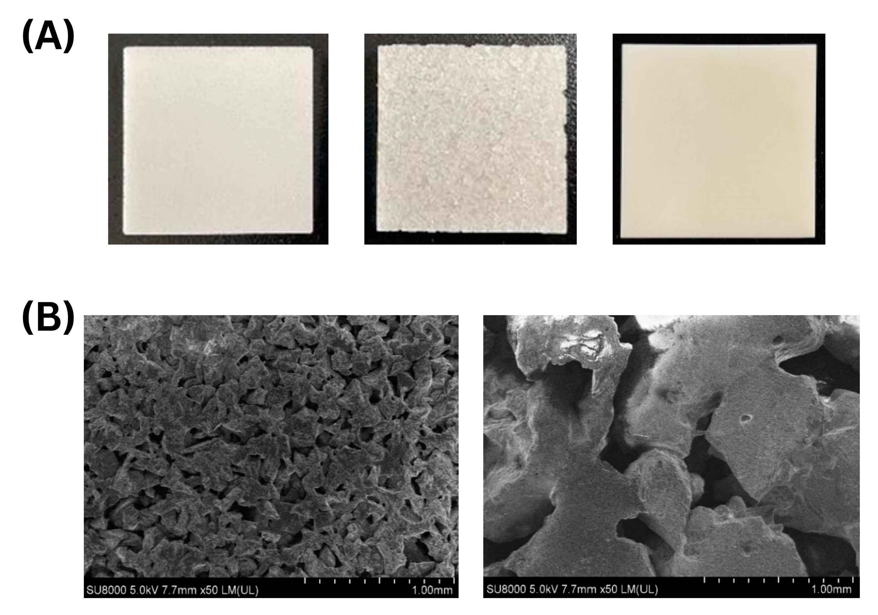 Microorganisms 13 01034 g001