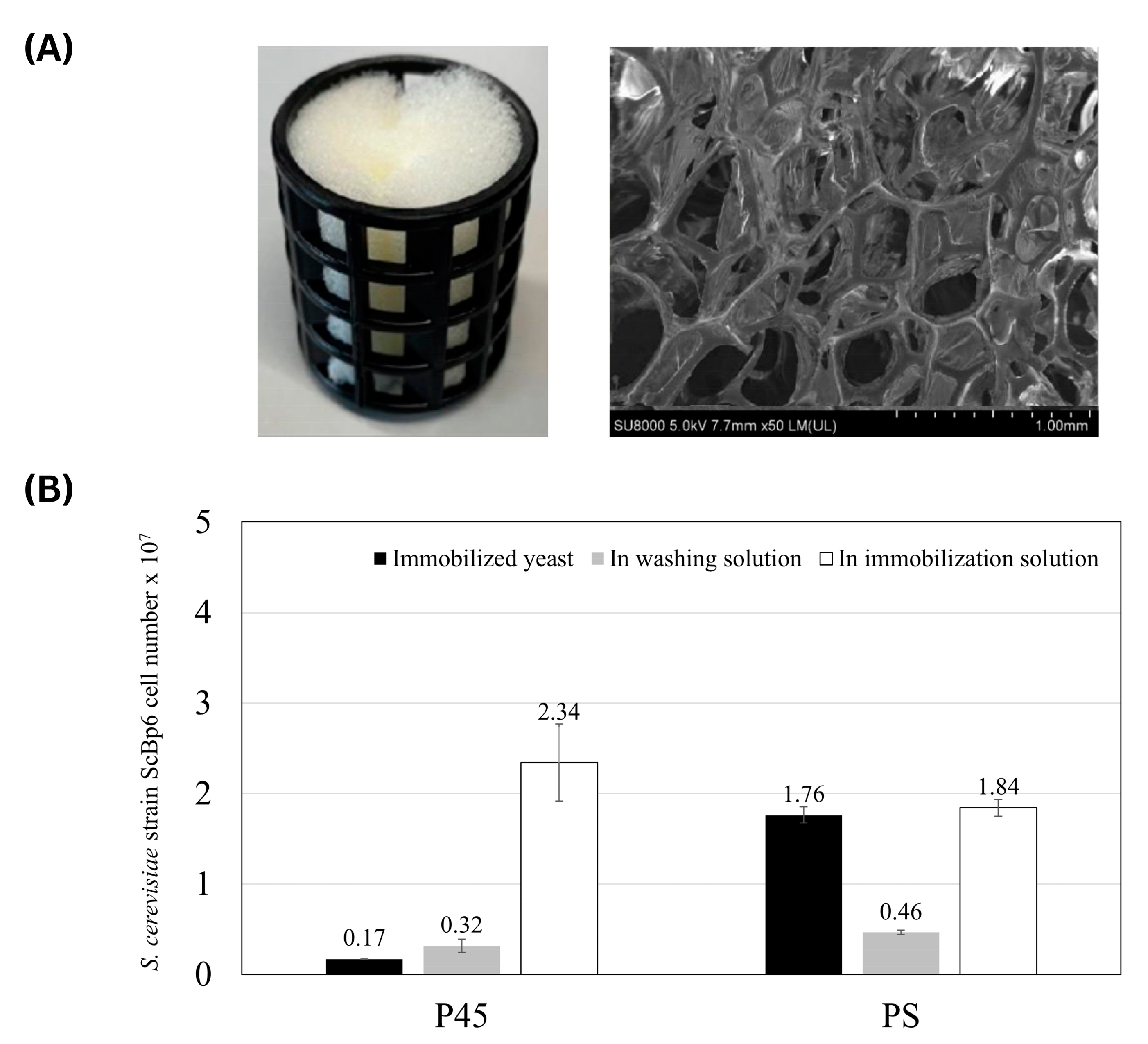Microorganisms 13 01034 g004
