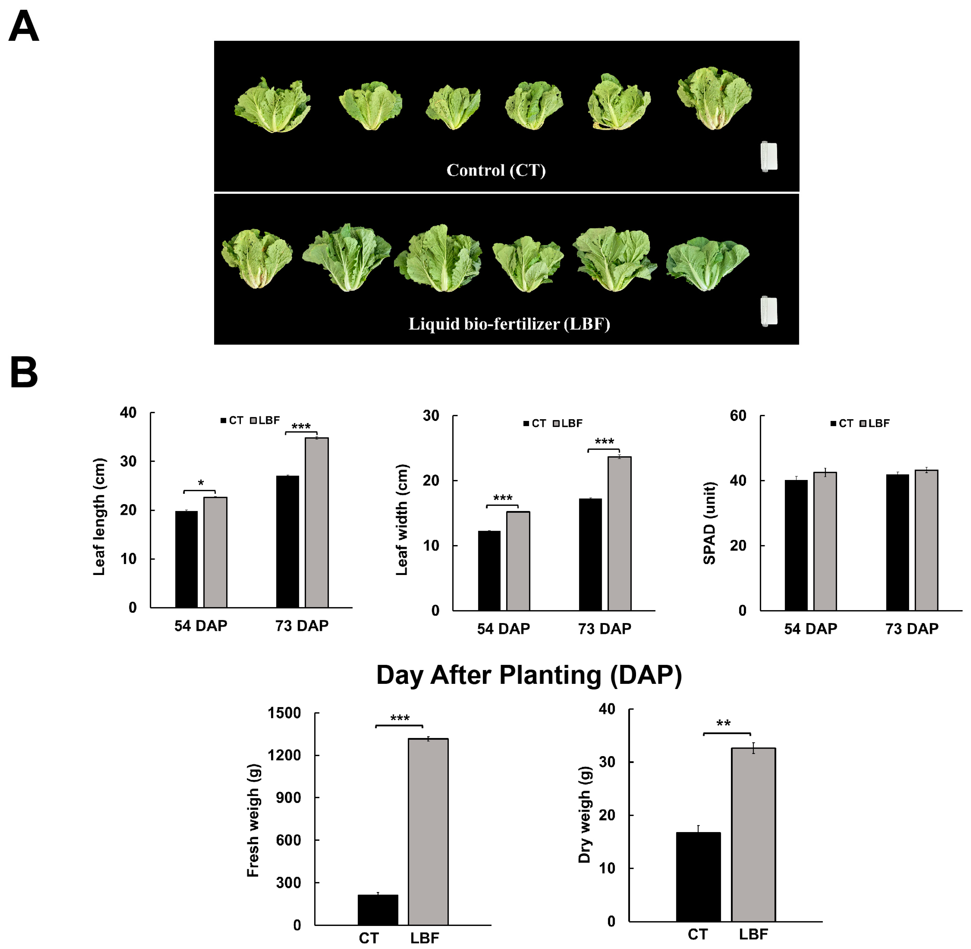 Microorganisms 13 01036 g001