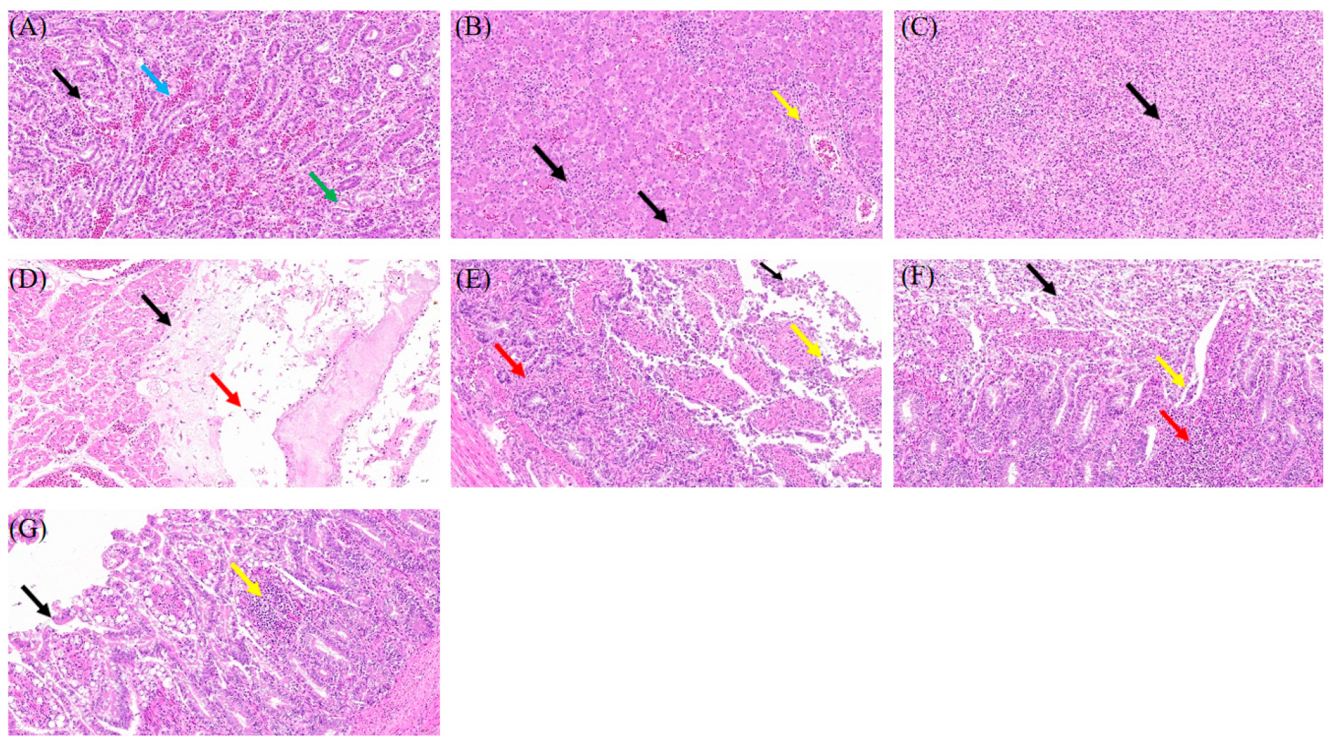 Microorganisms 13 01037 g002