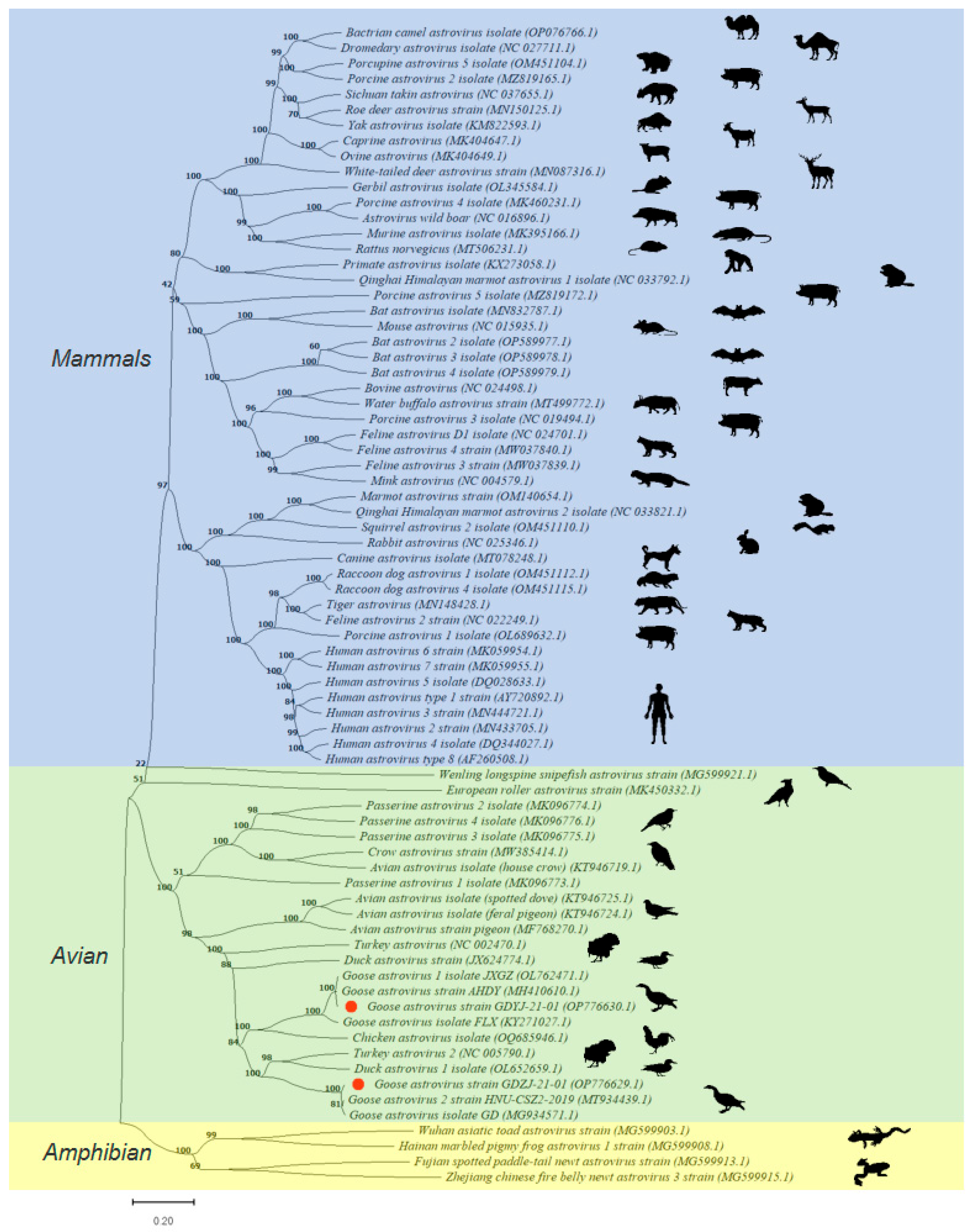 Microorganisms 13 01037 g003