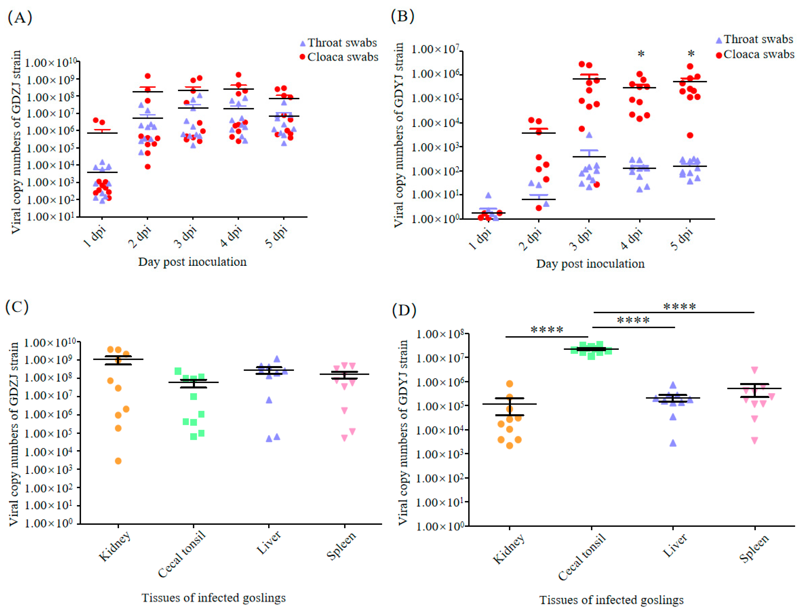 Microorganisms 13 01037 g004