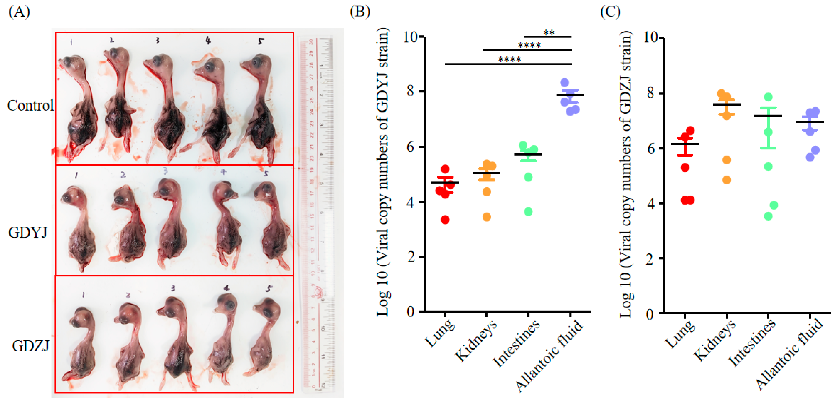 Microorganisms 13 01037 g005