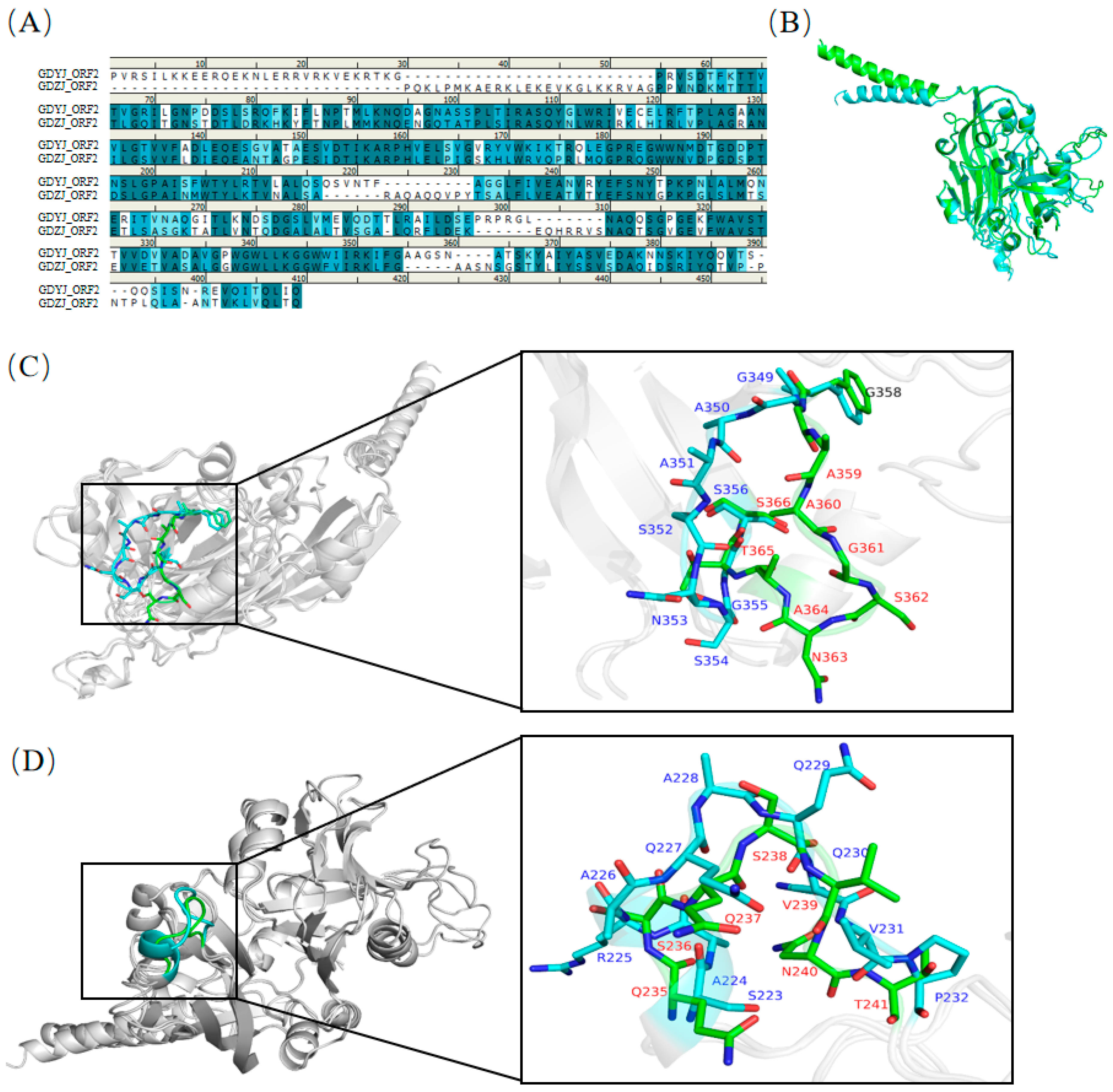 Microorganisms 13 01037 g007