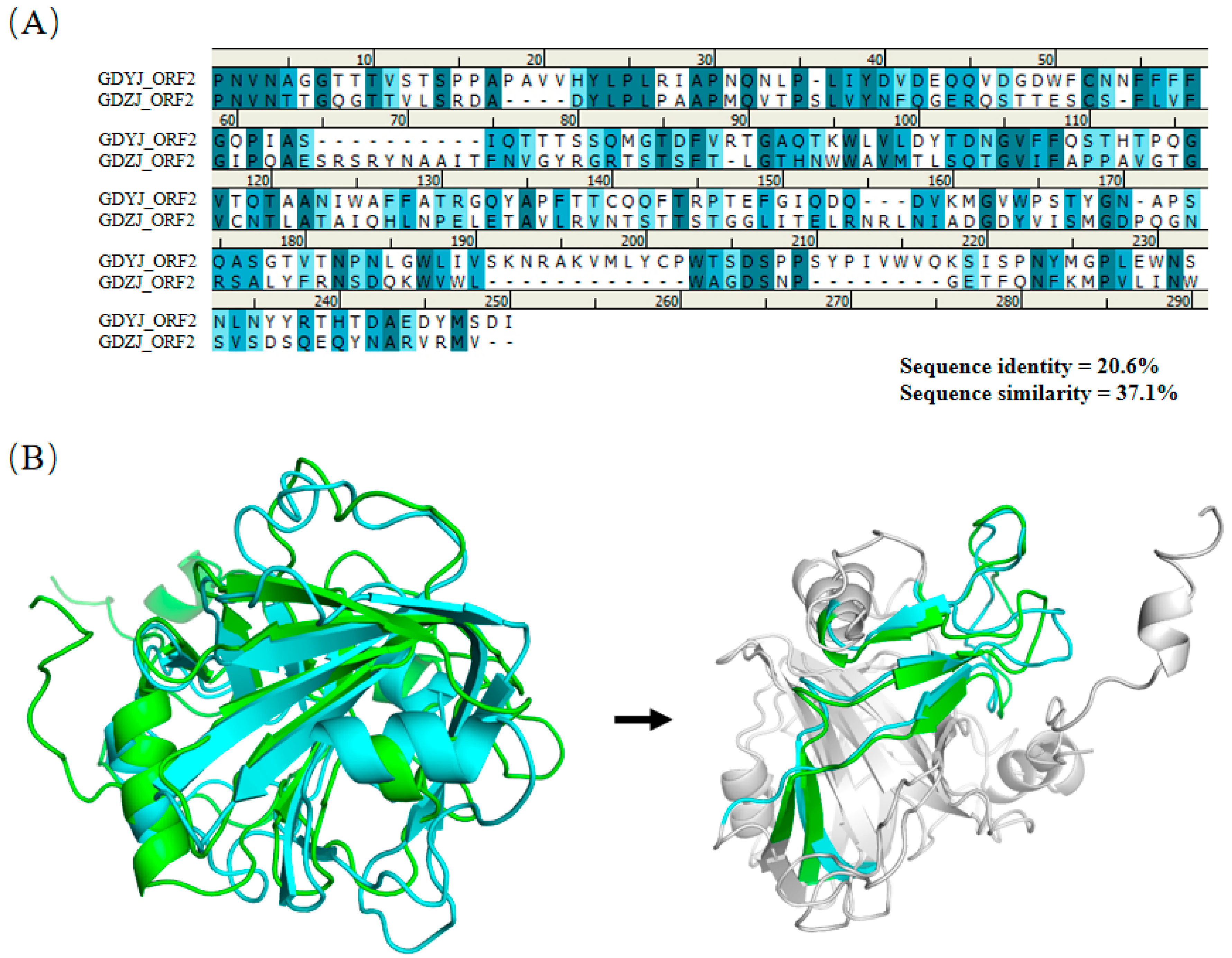 Microorganisms 13 01037 g008