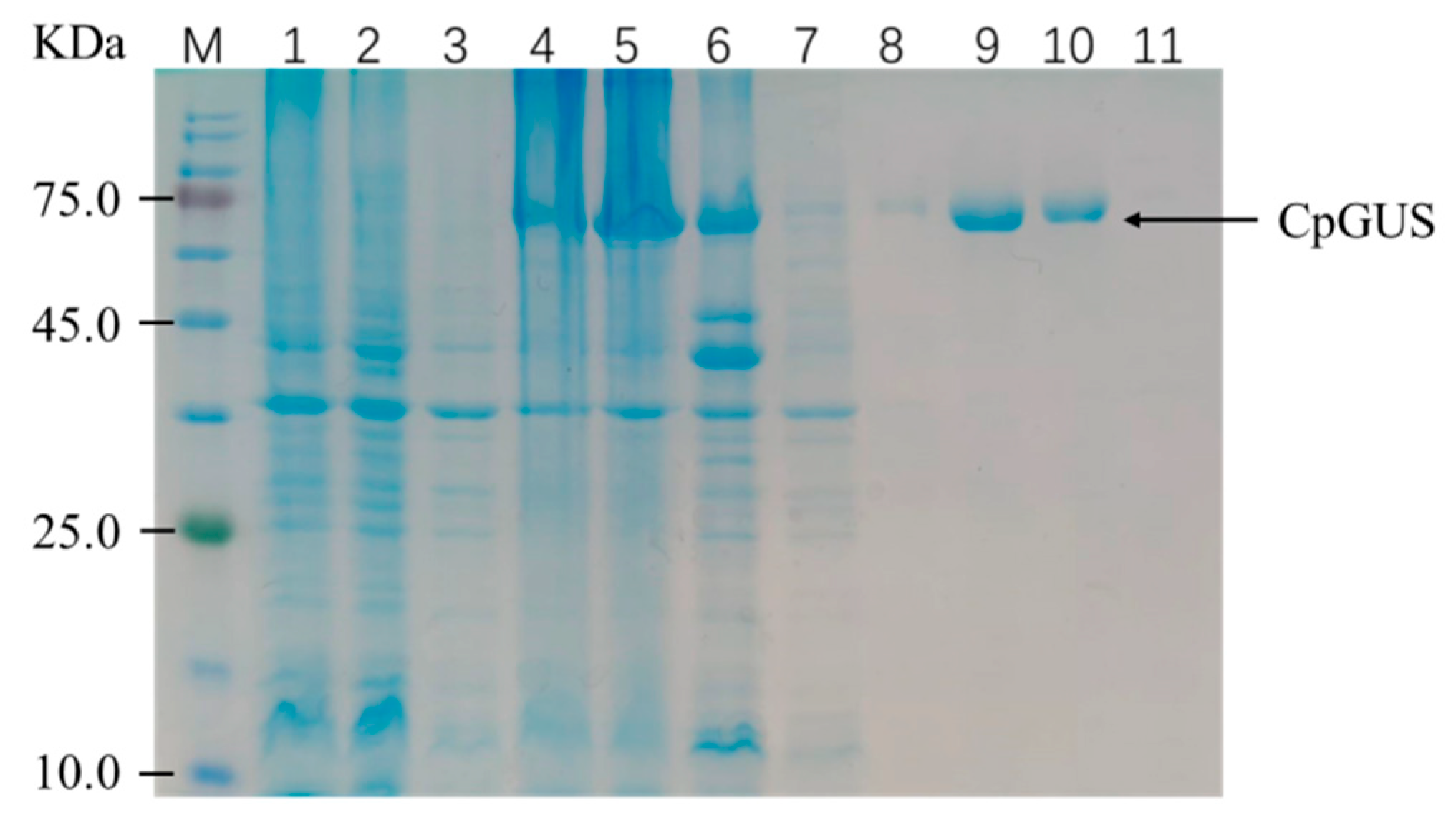 Microorganisms 13 01043 g001