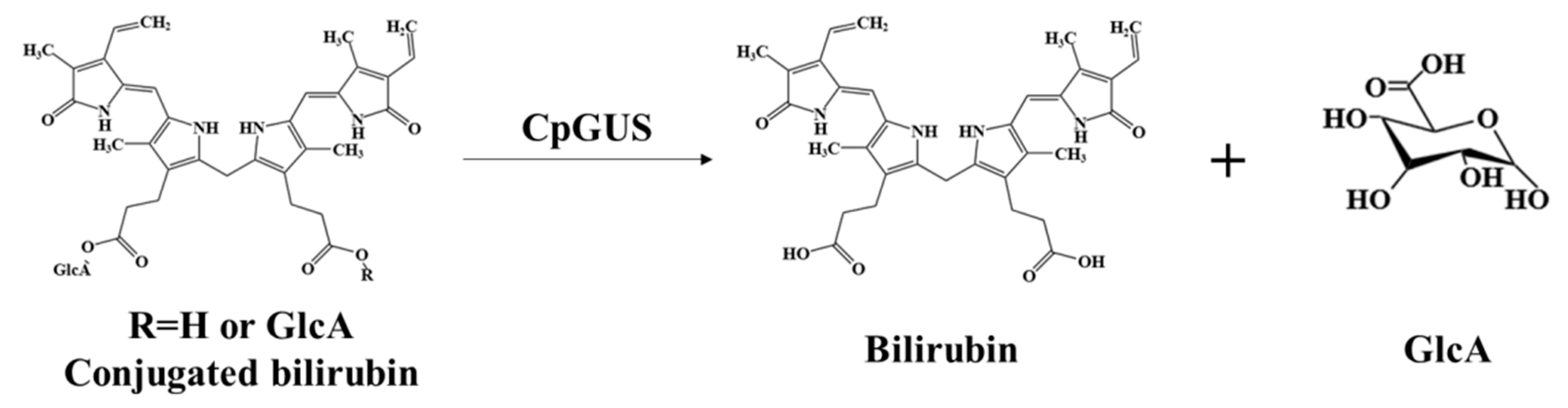 Microorganisms 13 01043 g010