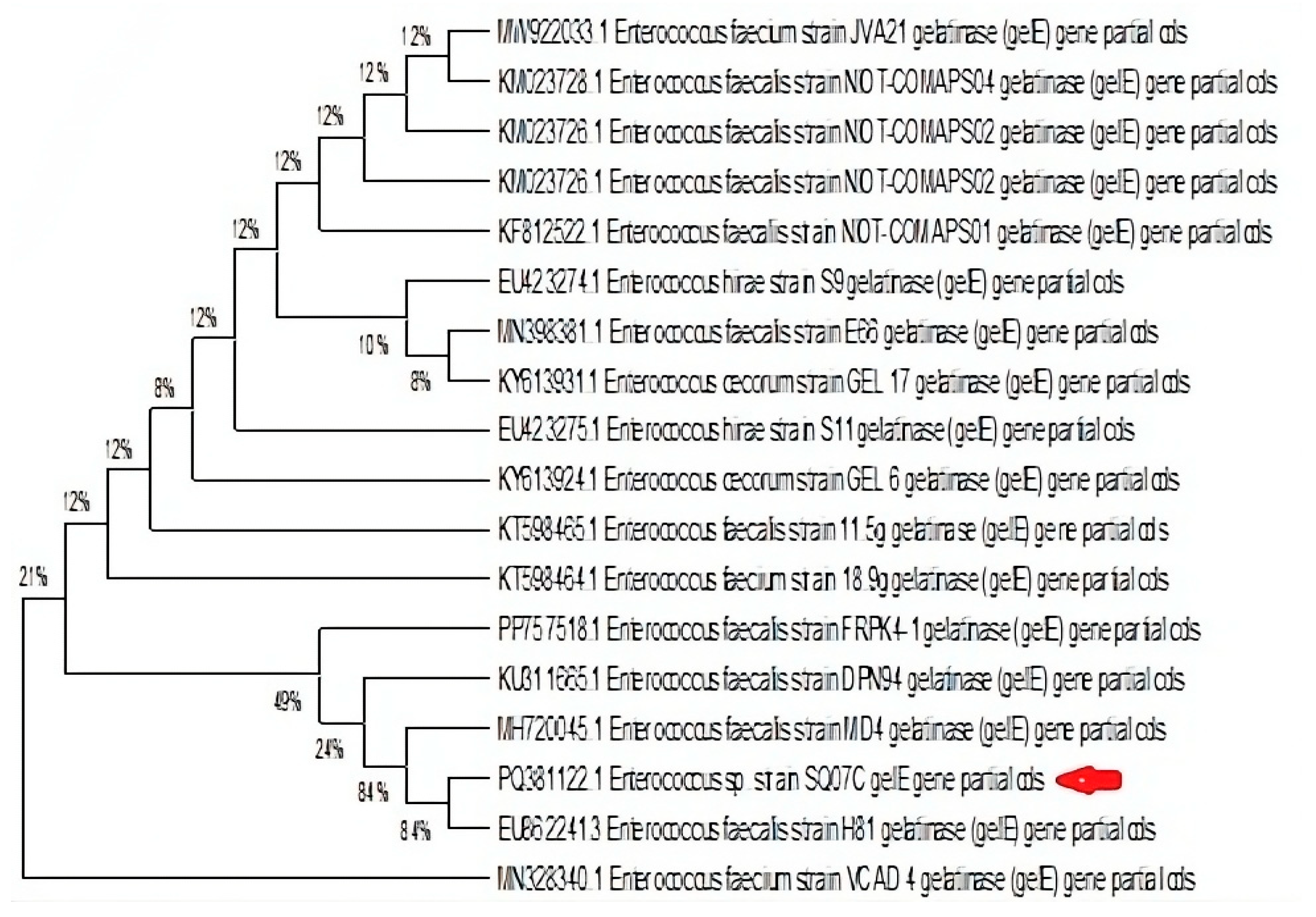 Microorganisms 13 01045 g003