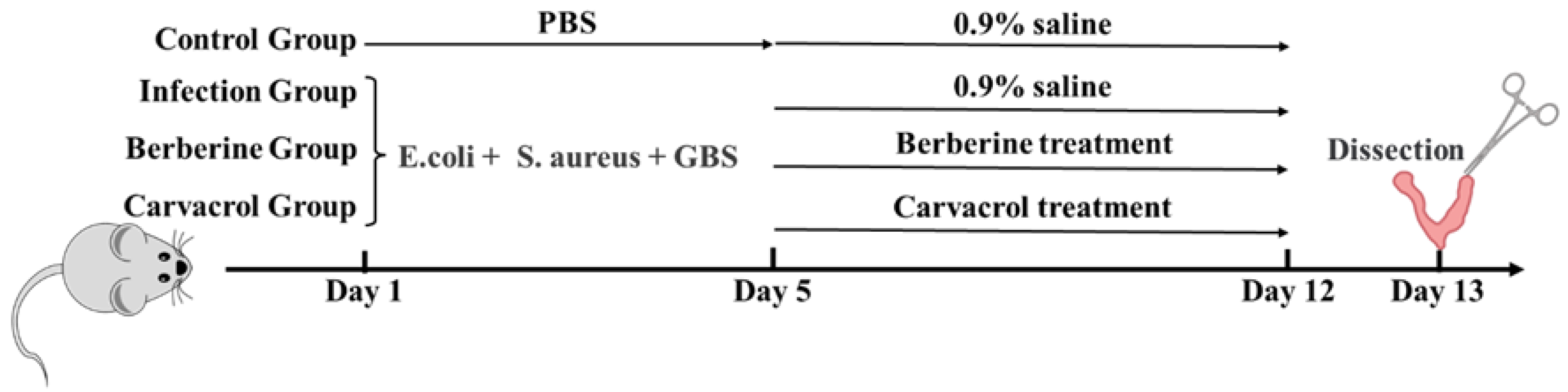 Microorganisms 13 01051 g001