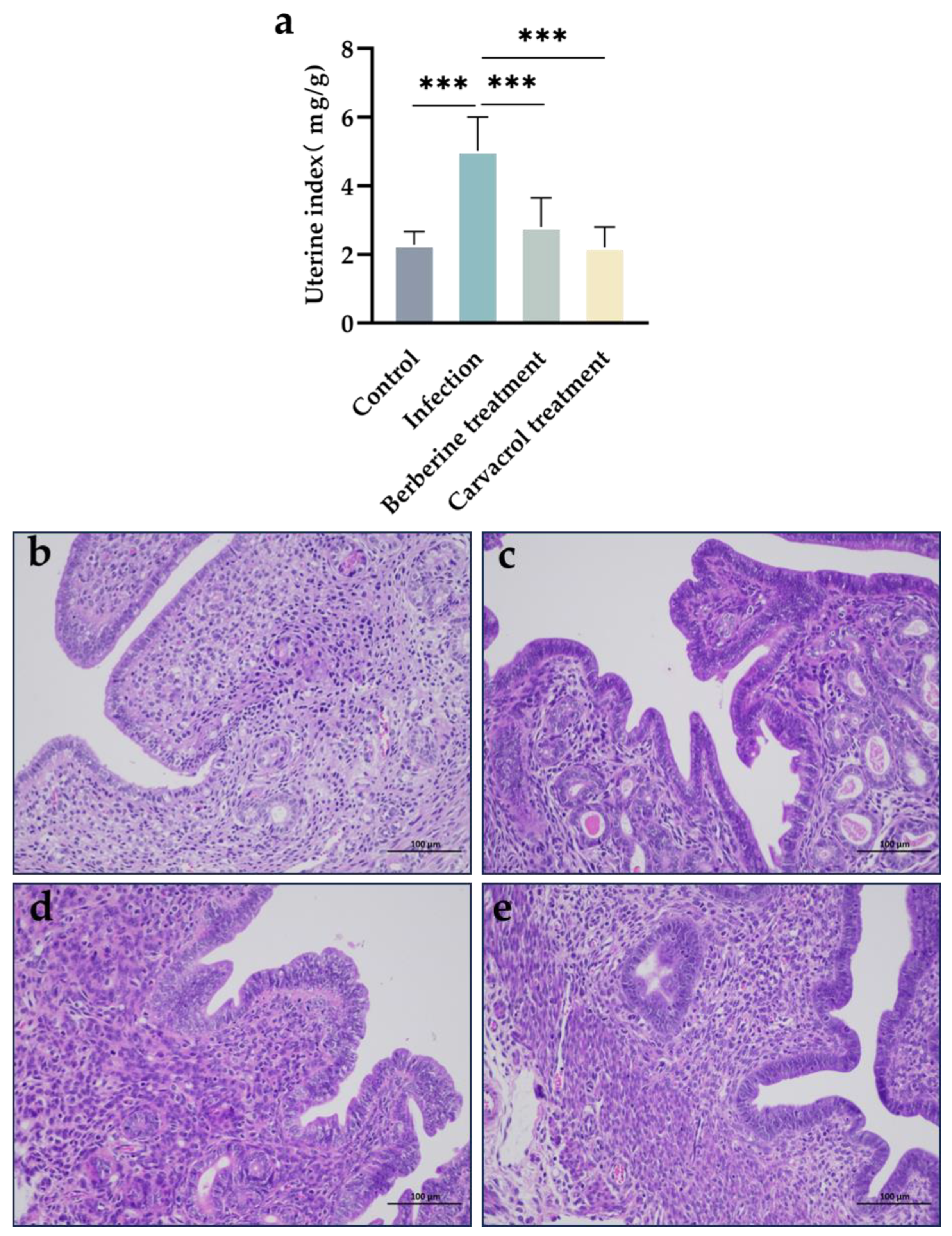 Microorganisms 13 01051 g003