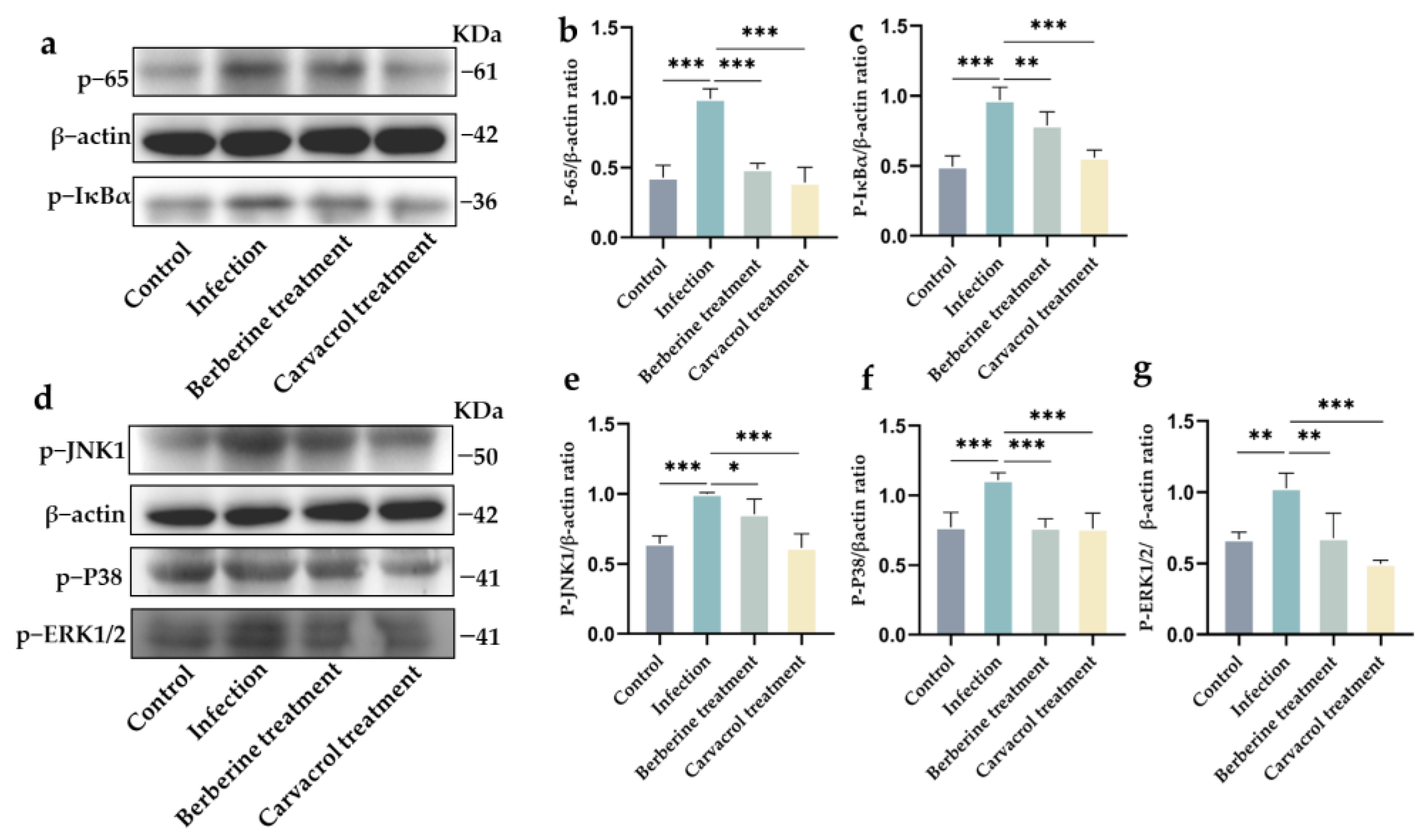 Microorganisms 13 01051 g005