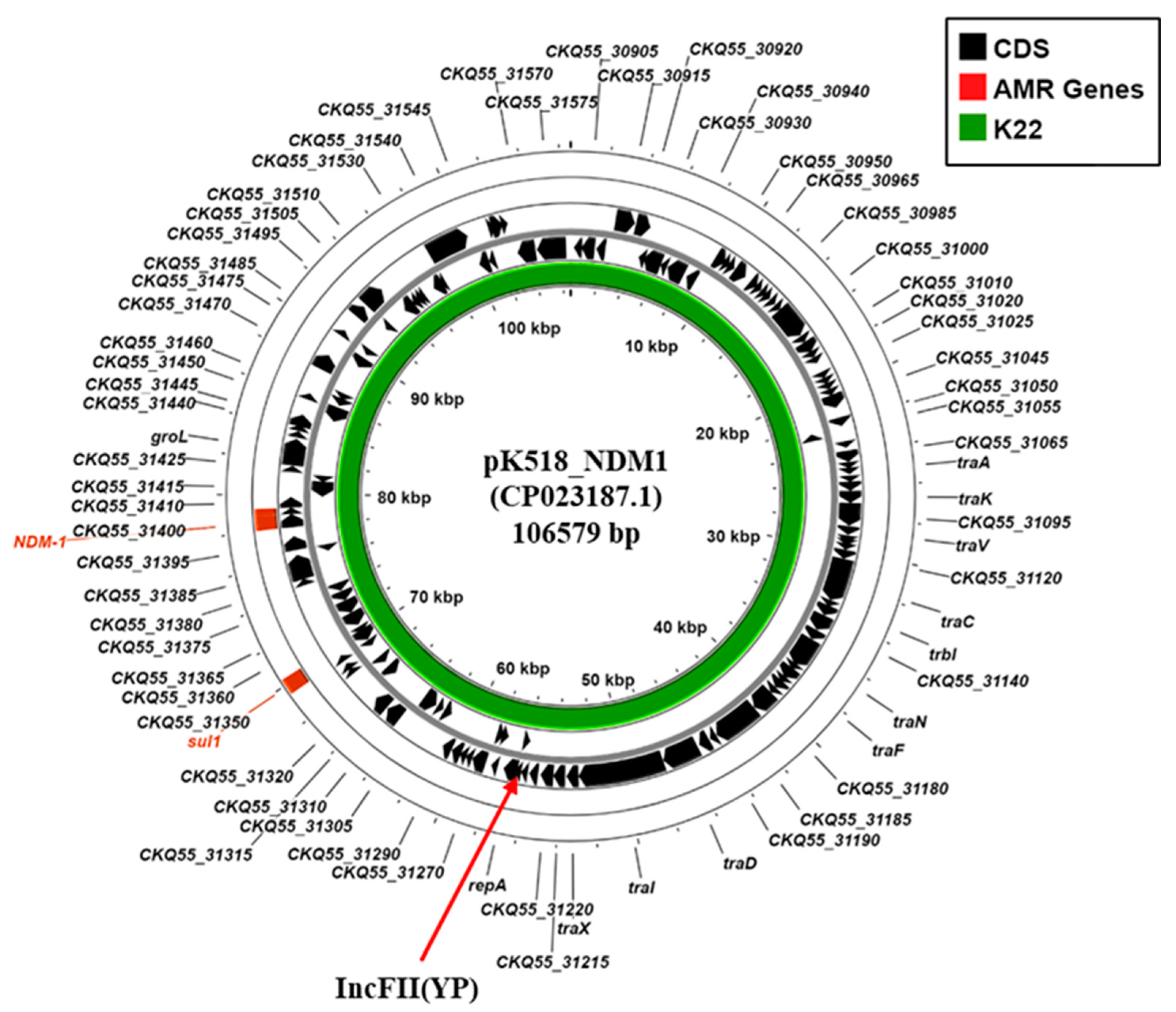 Microorganisms 13 01058 g004
