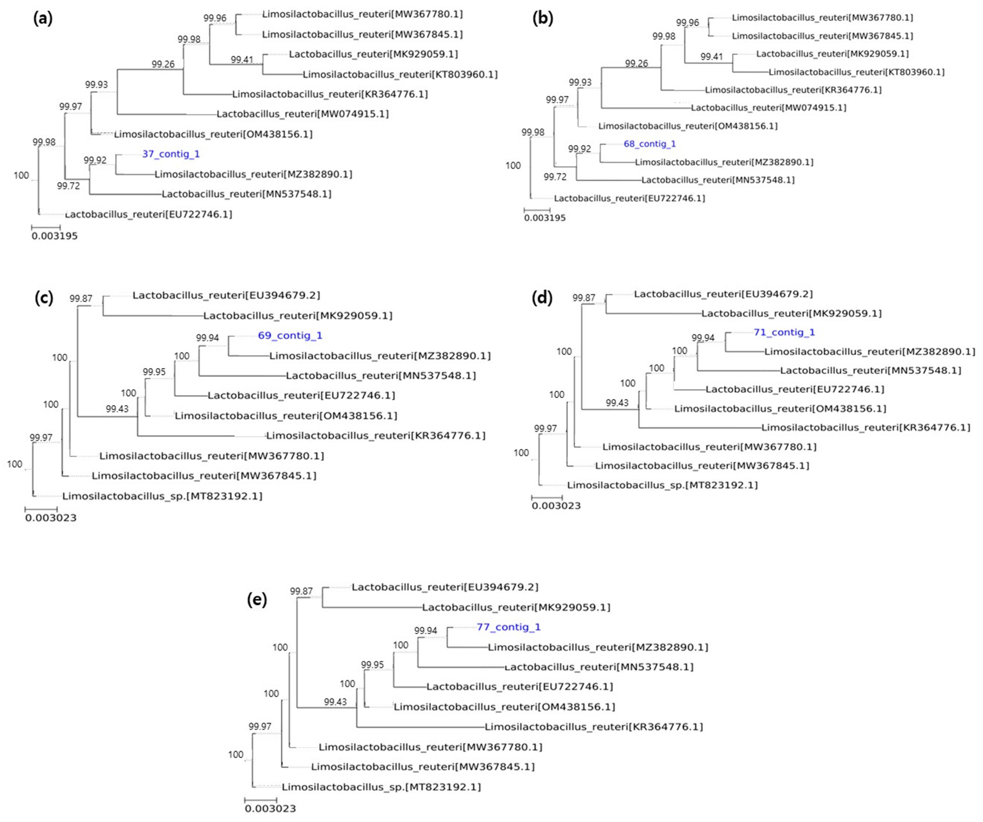 Microorganisms 13 01059 g009