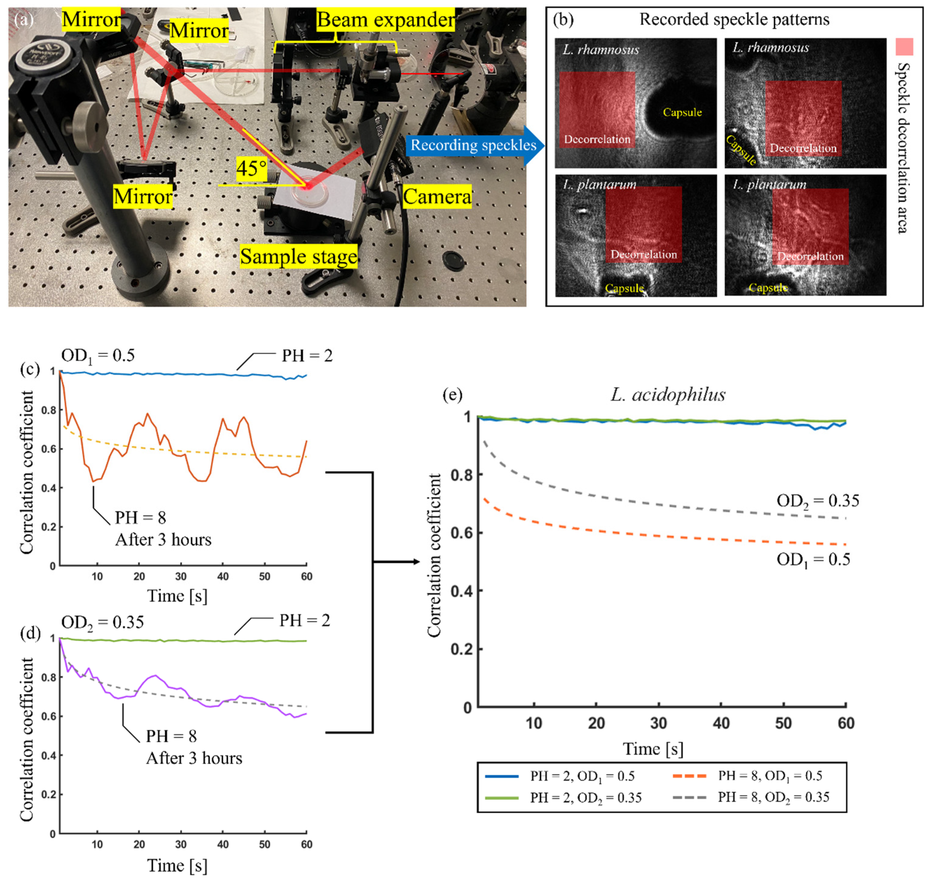 Microorganisms 13 01062 g004