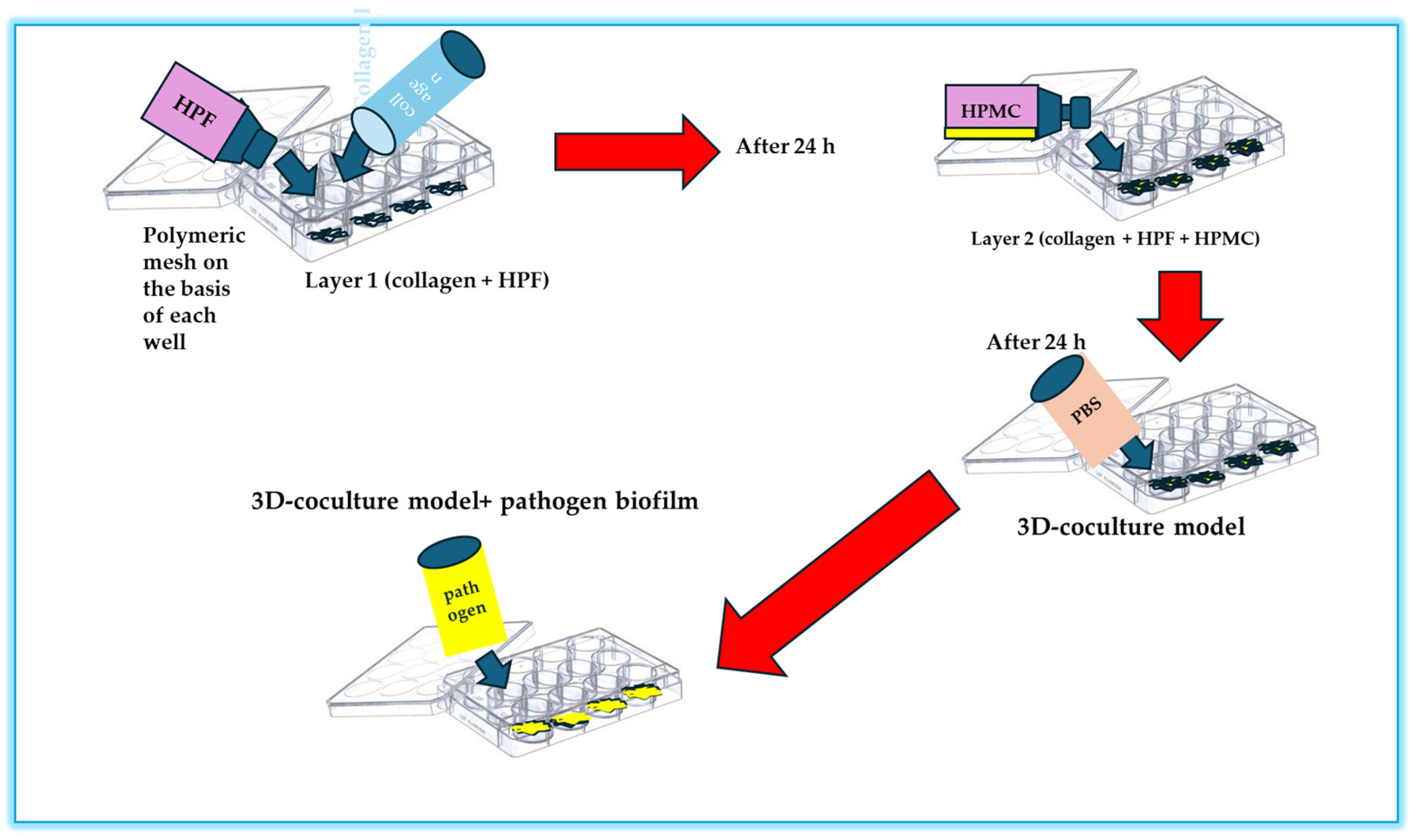 Microorganisms 13 01062 g005