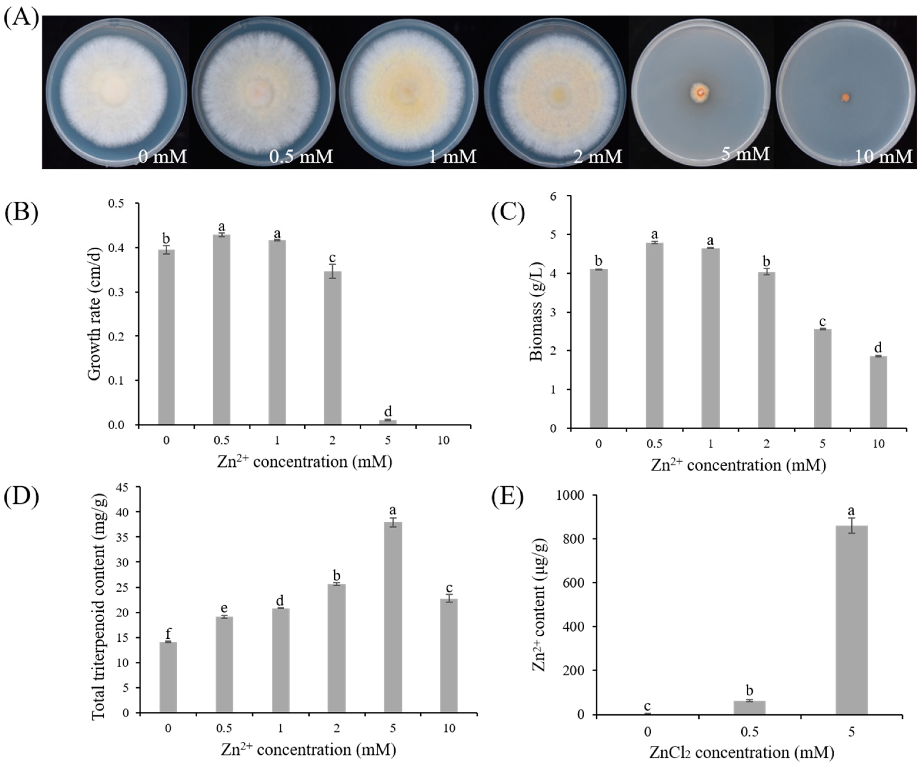 Microorganisms 13 01067 g001