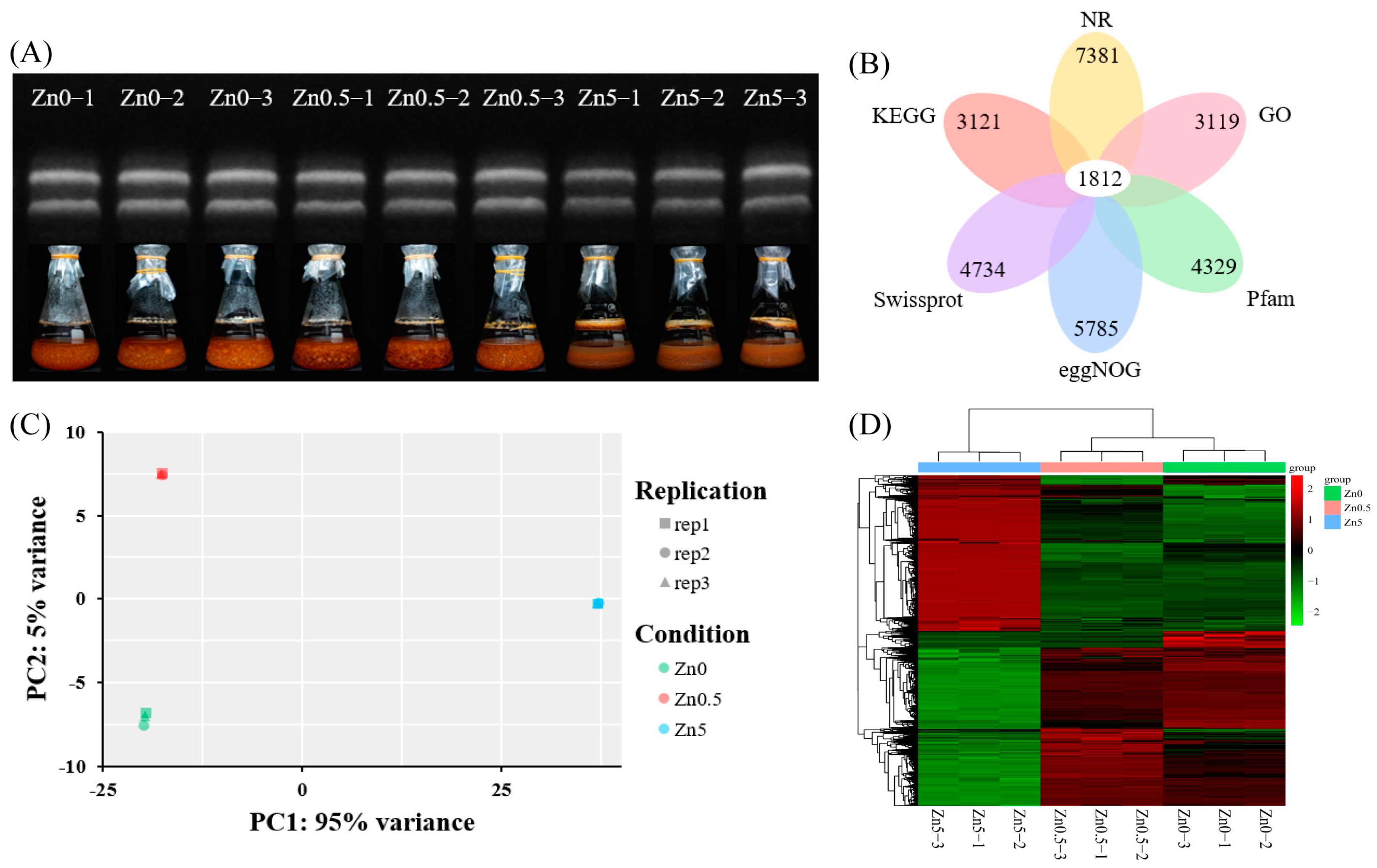 Microorganisms 13 01067 g002