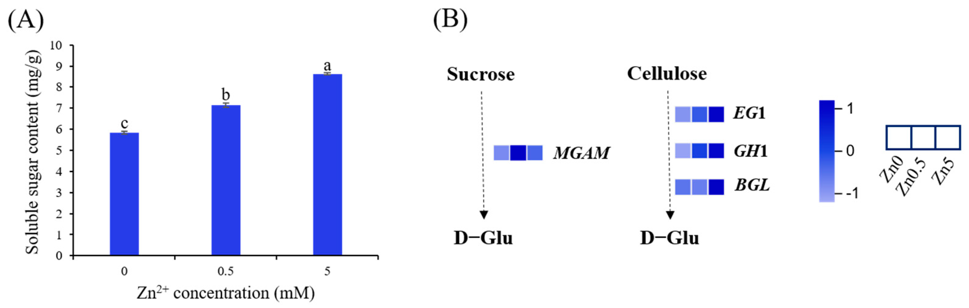 Microorganisms 13 01067 g005