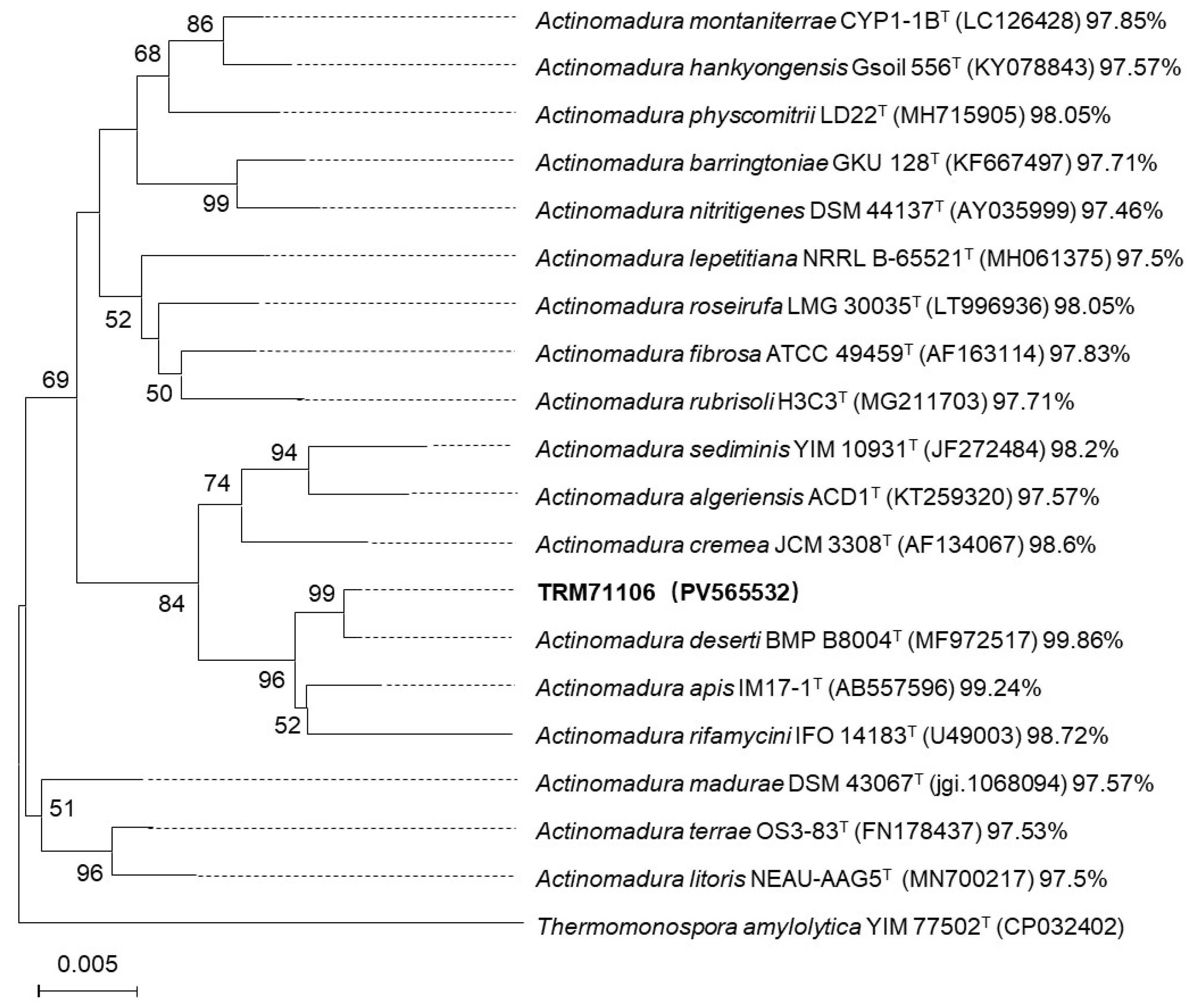 Microorganisms 13 01068 g001