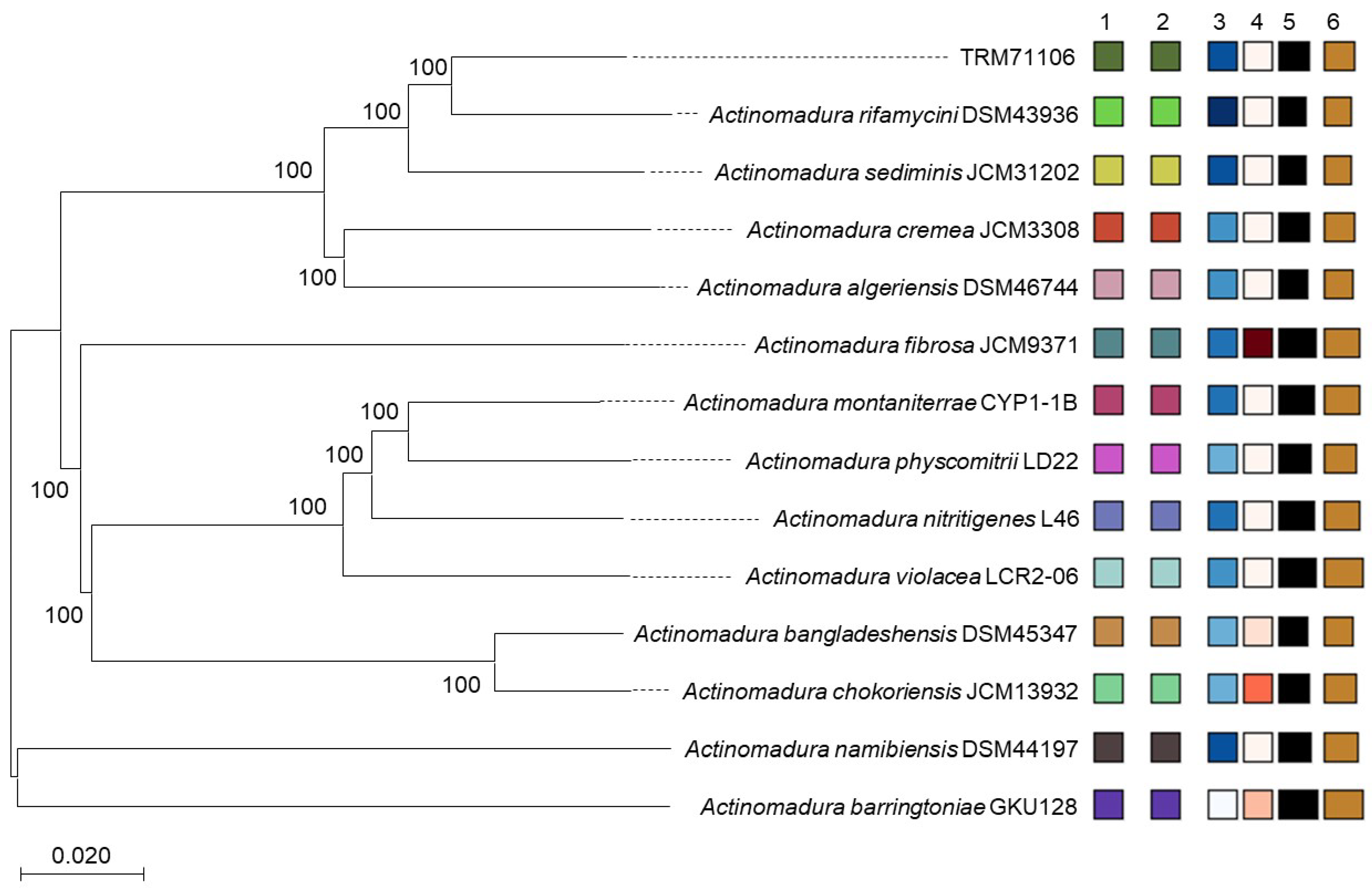 Microorganisms 13 01068 g002