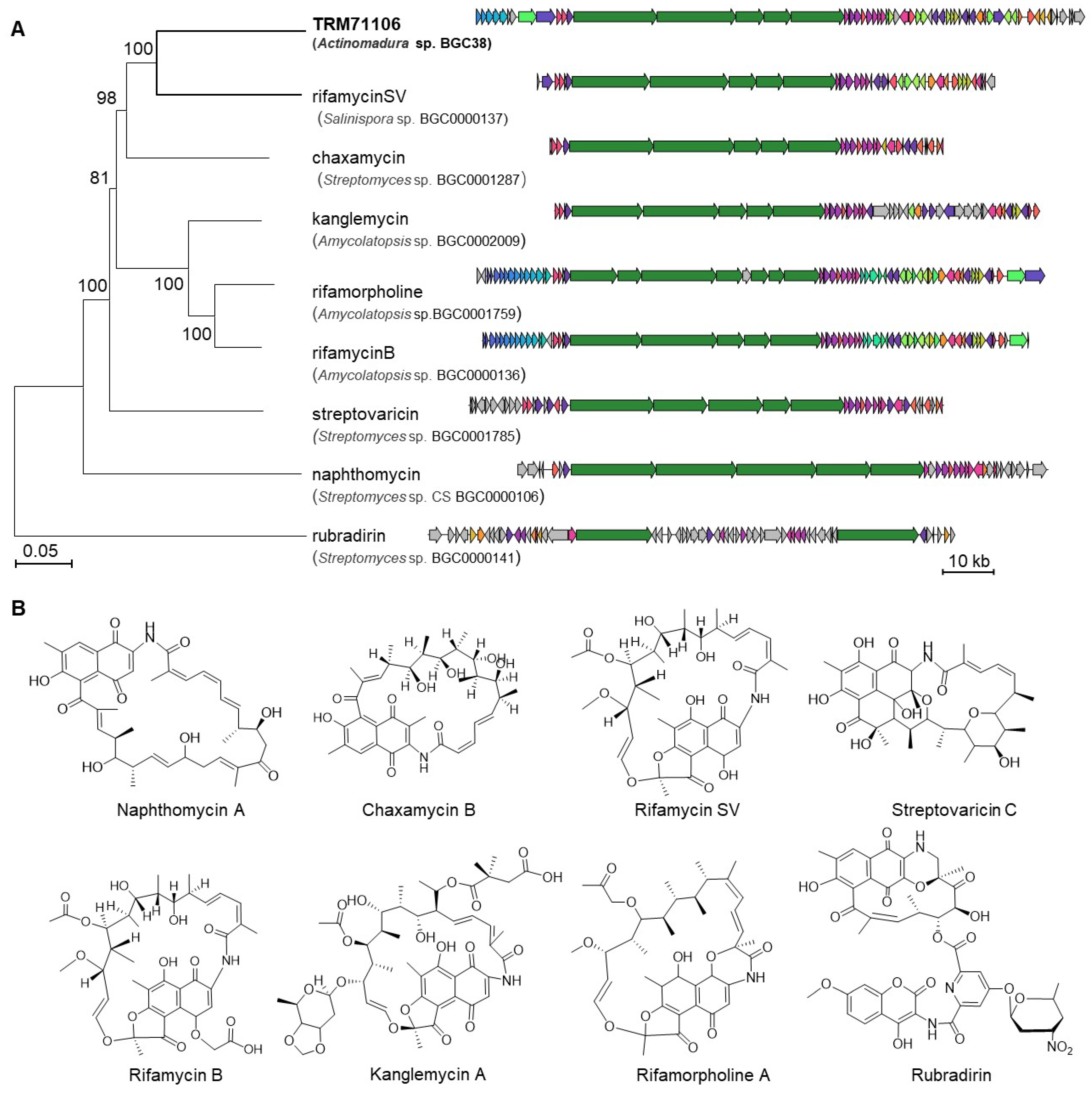 Microorganisms 13 01068 g003