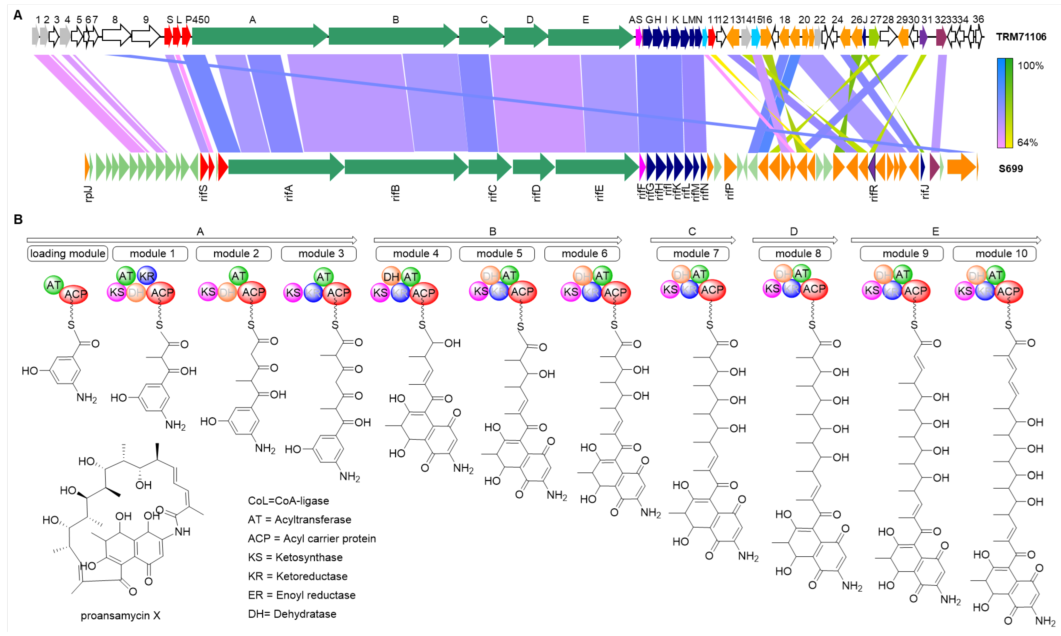 Microorganisms 13 01068 g004