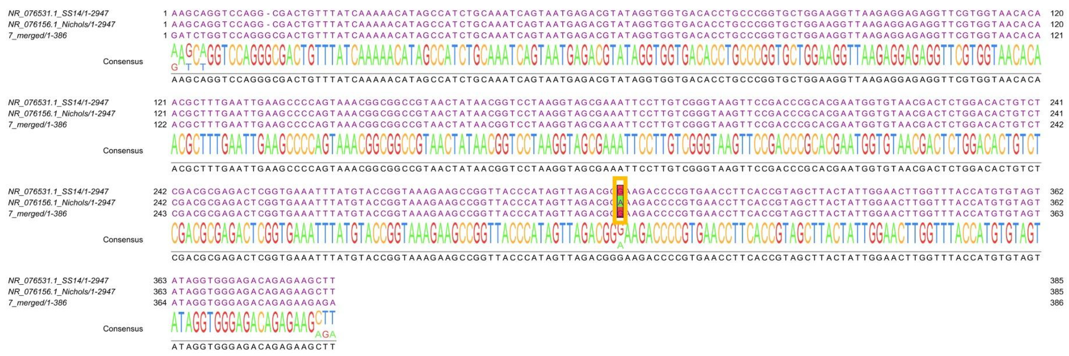 Microorganisms 13 01069 g003